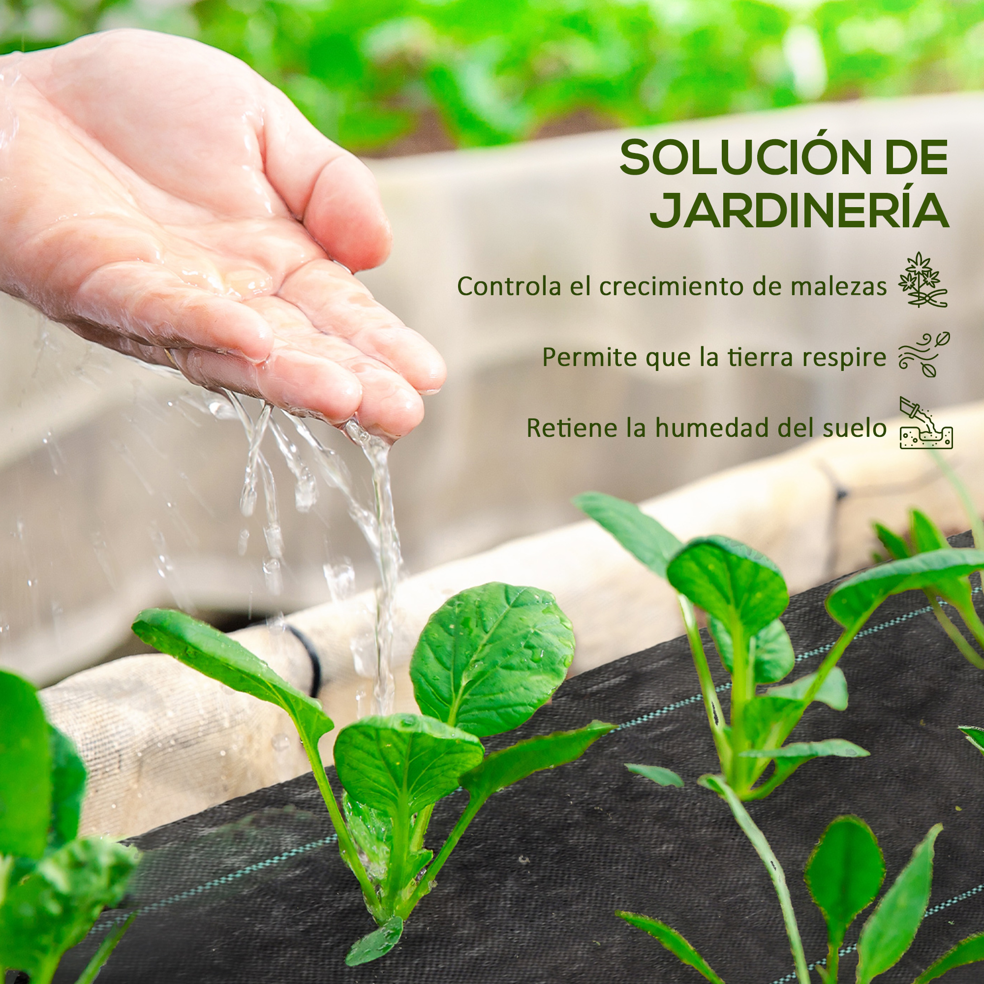 Mano regando plantas jóvenes sobre tela negra con hojas verdes al fondo.