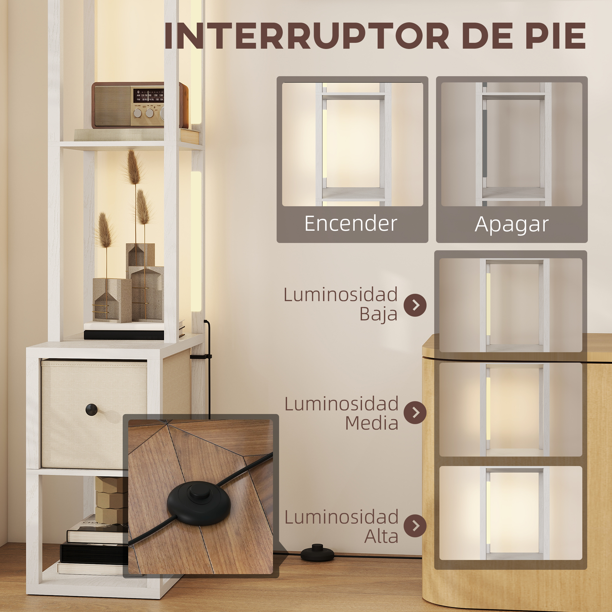 Estante con radio, plantas y libros. Se muestran efectos de luz.