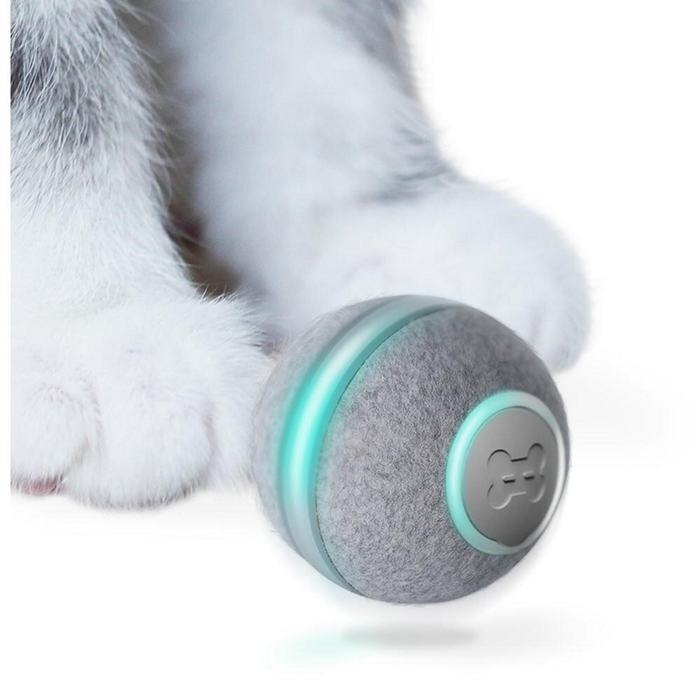 Palla giocattolo grigia con luce blu vicino alle zampe di gatto.