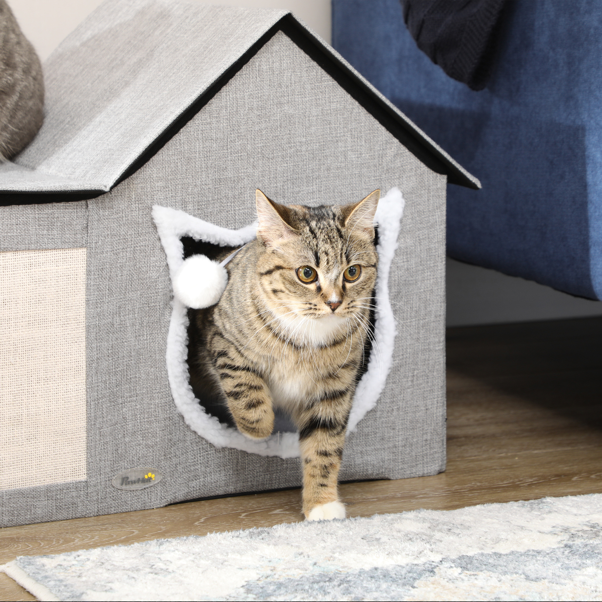 Un gato atigrado con ojos amarillos sale de una casa para gatos gris.