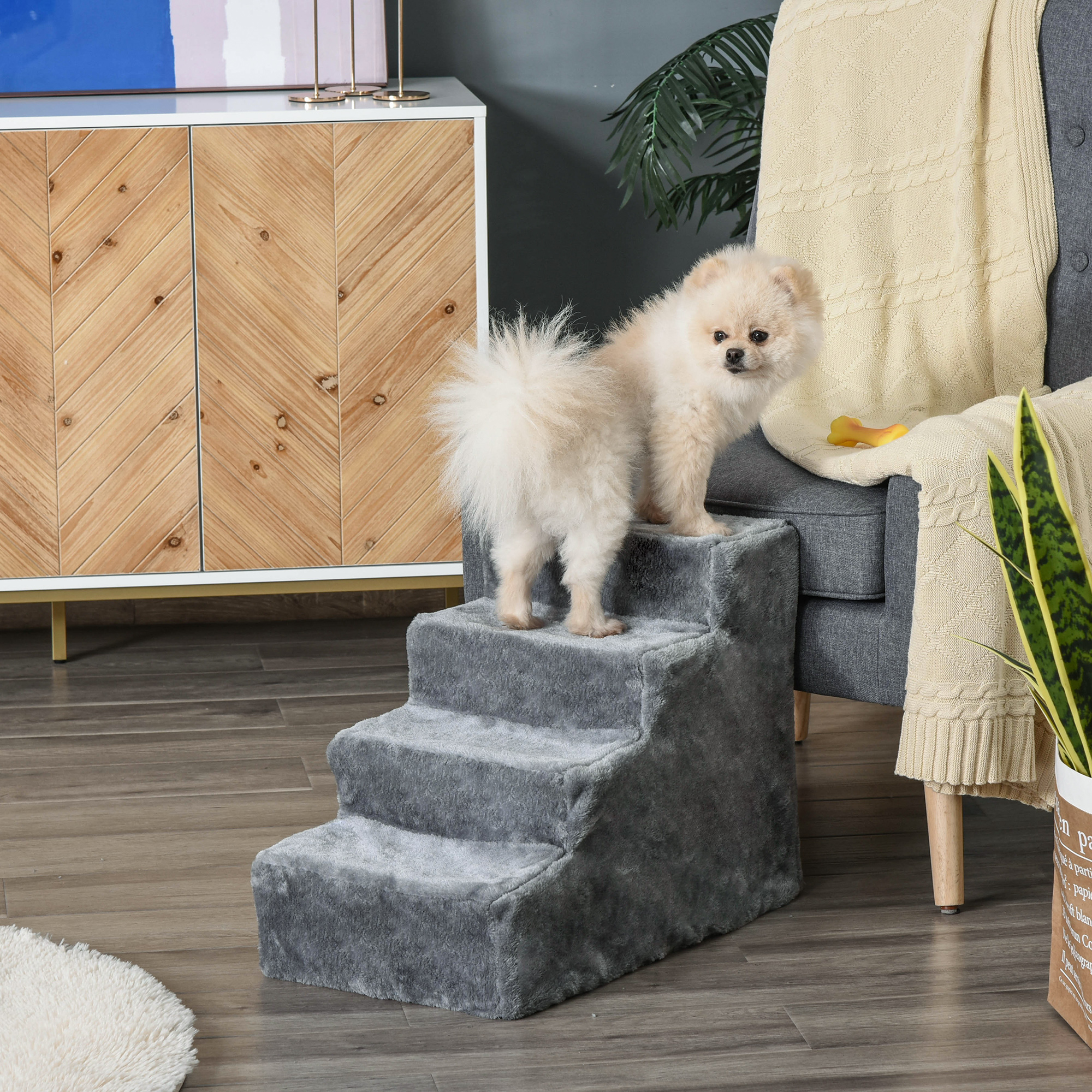Un Pomerania está en unos escalones grises junto a un sillón con mantas.
