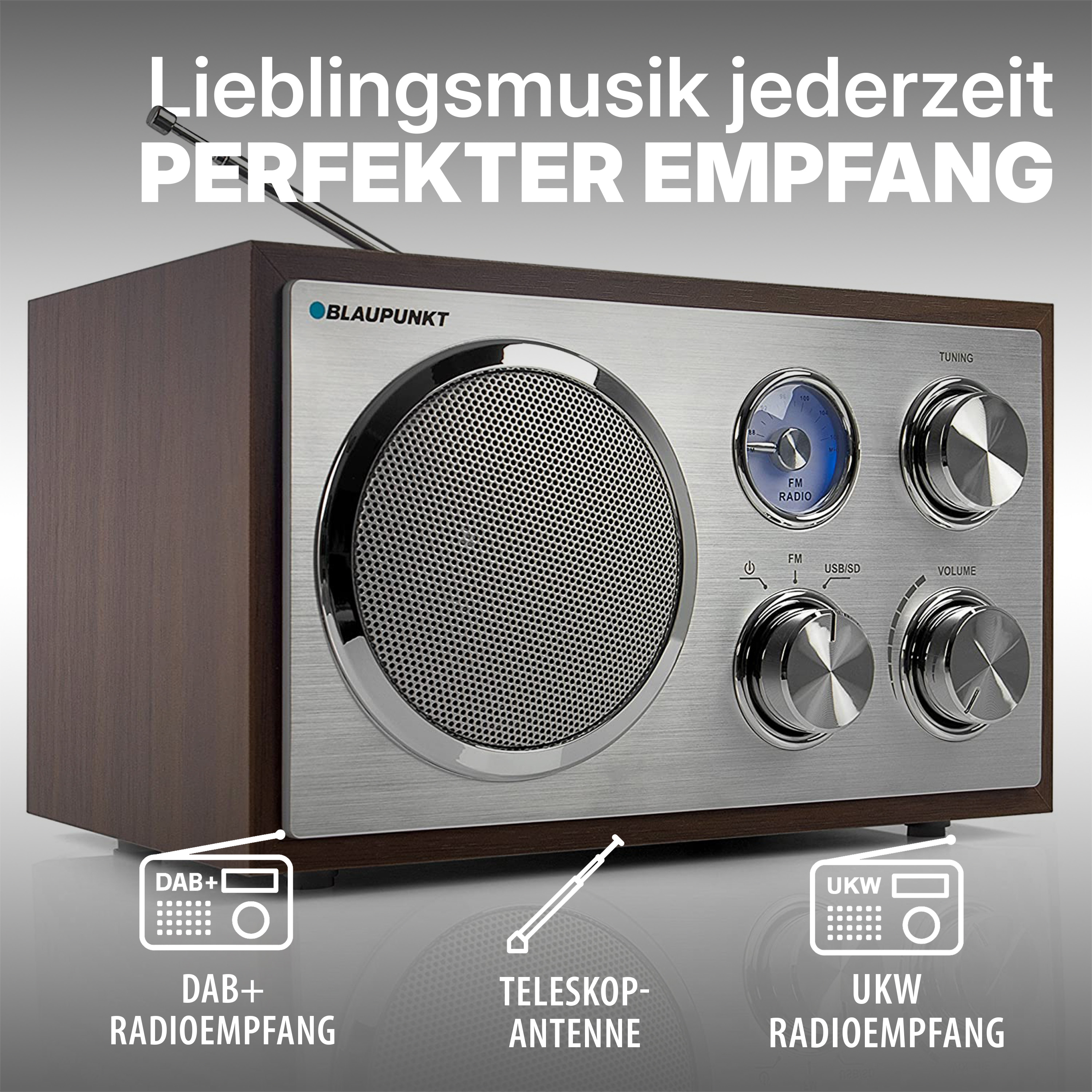 Ein Blaupunkt Radio mit Holzgehäuse, silberner Front, großem Lautsprecher und Bedienelementen.