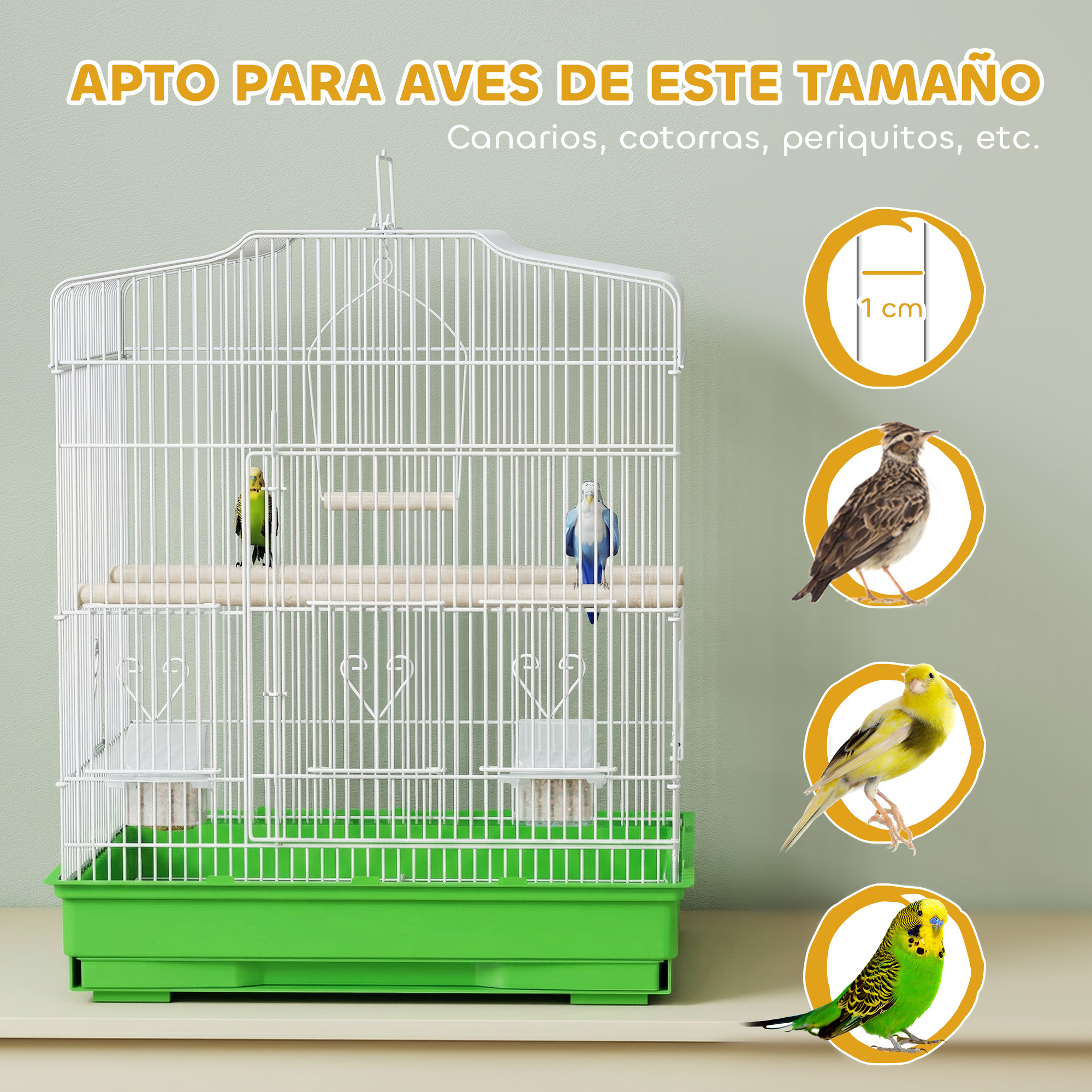 Una jaula blanca para pájaros con base verde, dos periquitos e imágenes.