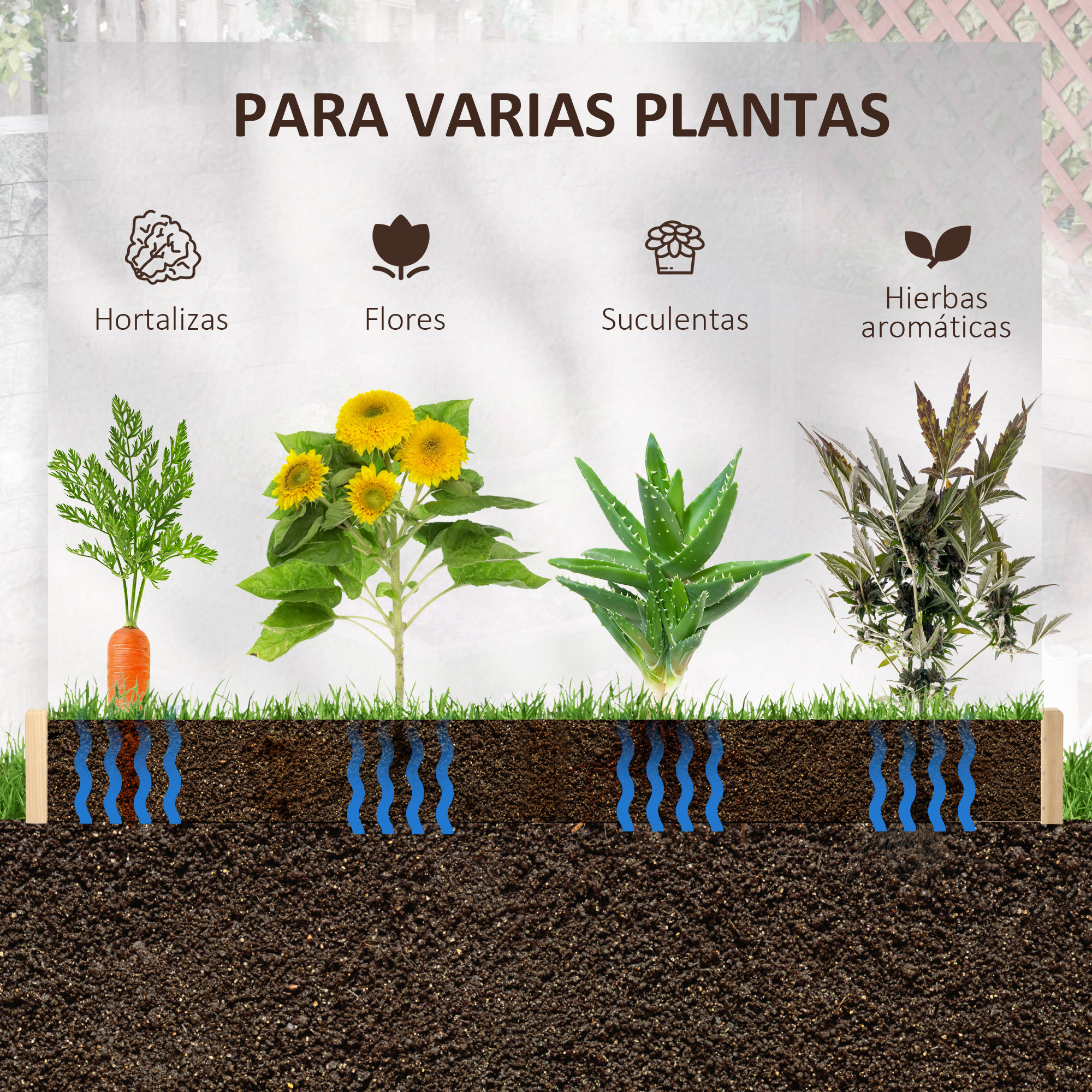 Diagrama de cuatro plantas: zanahoria, girasoles, aloe vera, hierbas. Diagrama de riego.