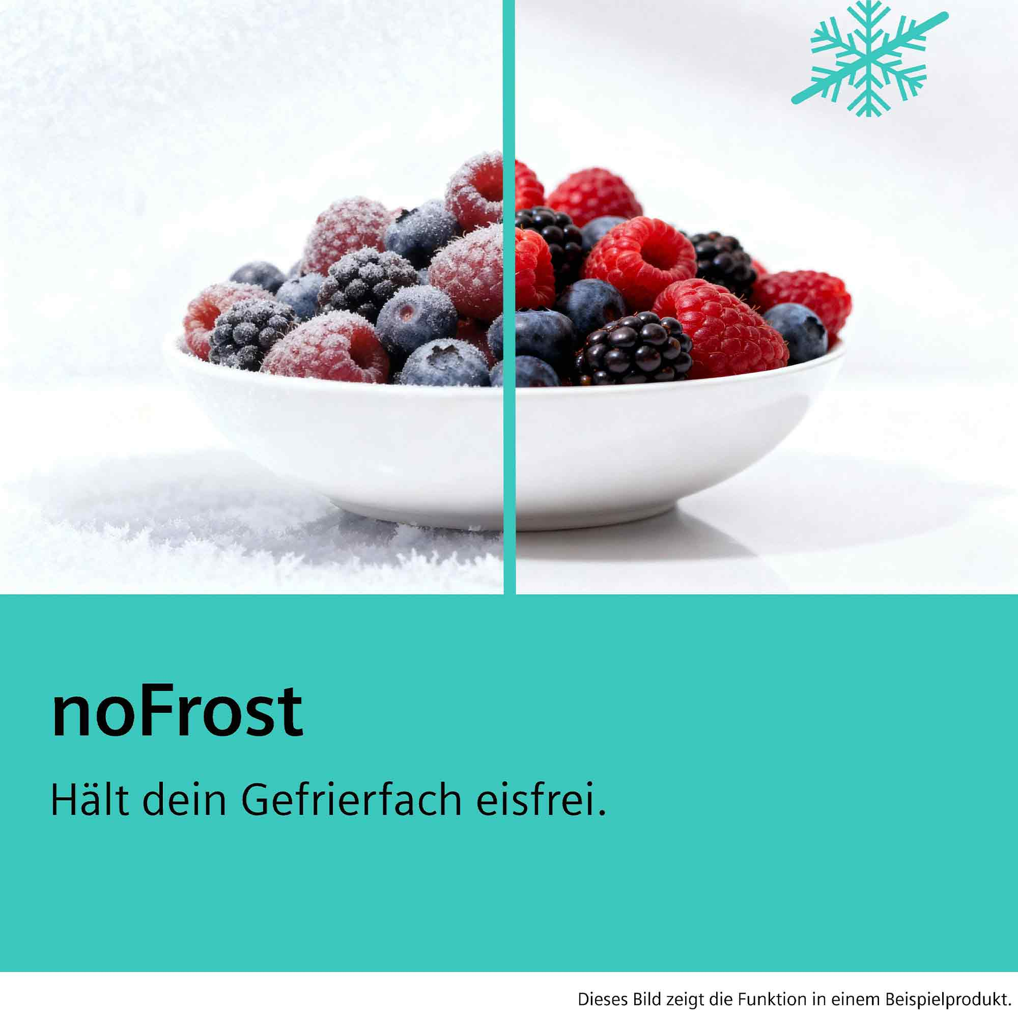 Schale mit gefrorenen Beeren neben Schnee und einem Snowflake-Symbol.