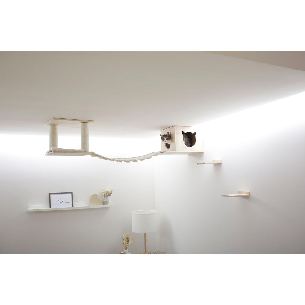 Holz-Katzenmöbel an der Decke, Brücke, Kasten mit Katzen, Wandregale.