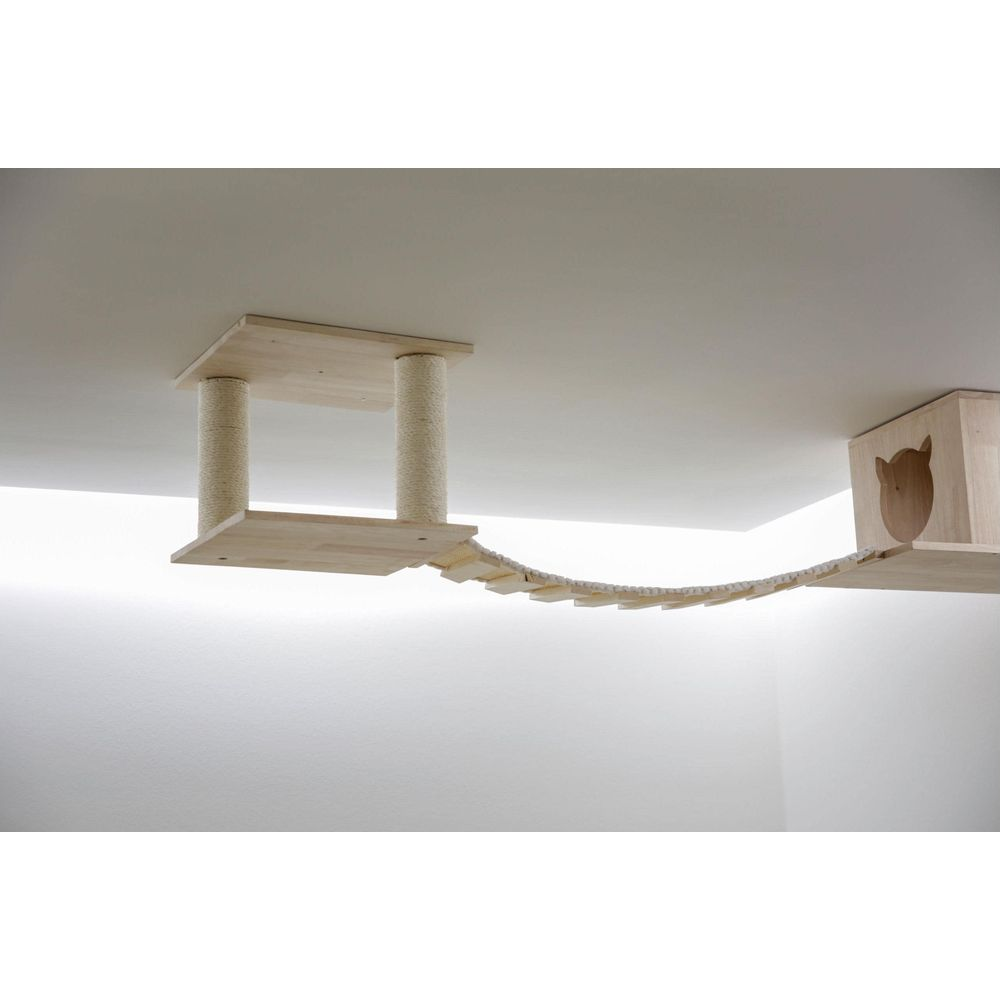 Ein hölzerner Katzensteg mit Kratzbäumen und einer Hütte an der Decke.
