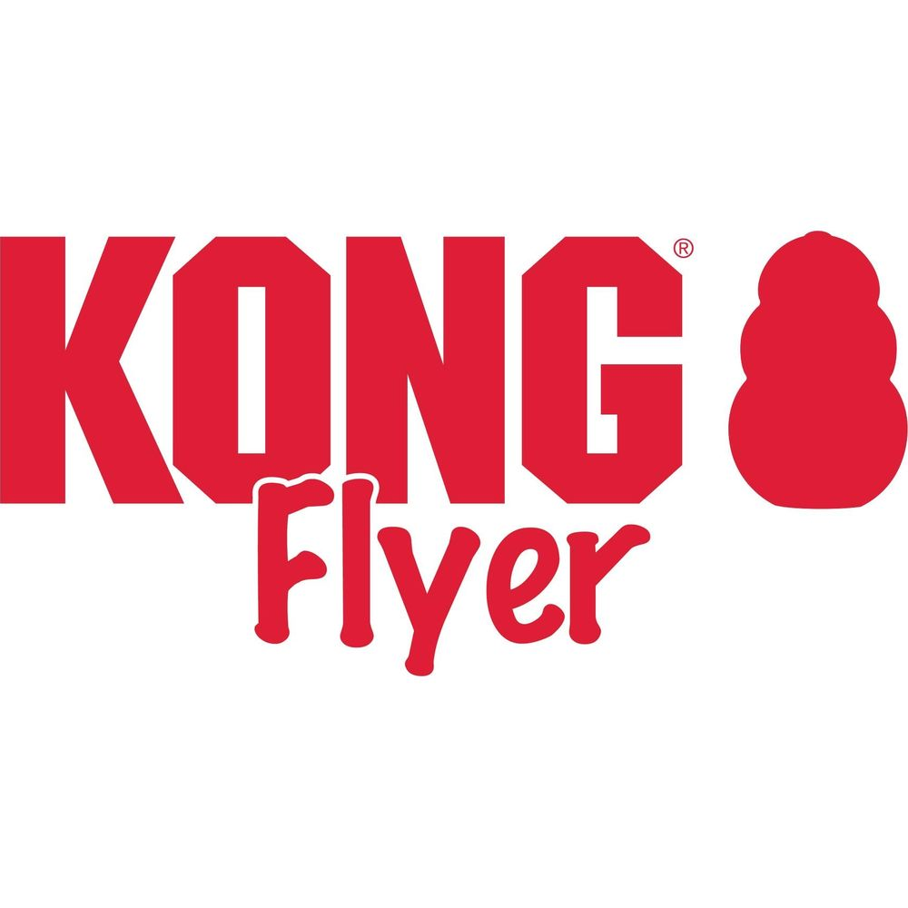 Rote KONG Flyer Schrift mit einem stilisierten KONG-Logo.
