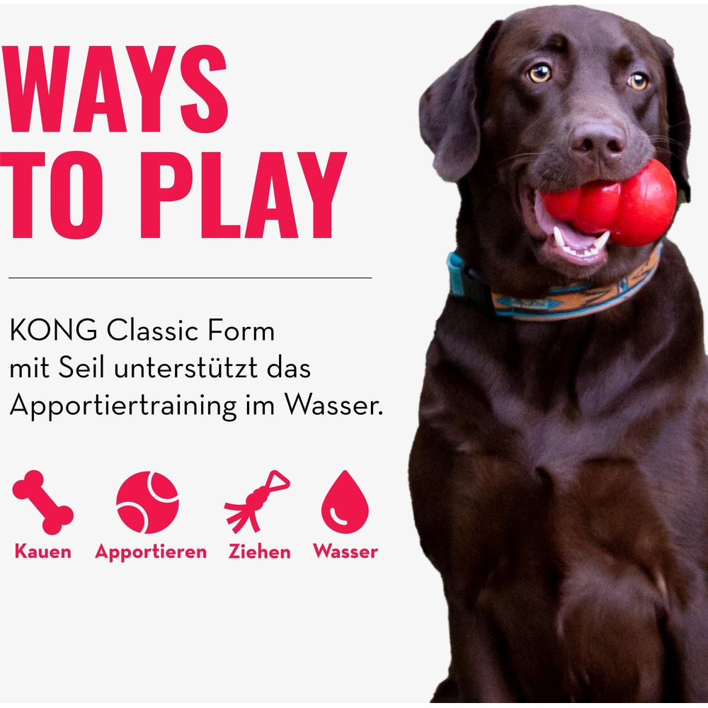 Brązowy labrador z czerwoną zabawką w pysku, tekst "Ways to Play".