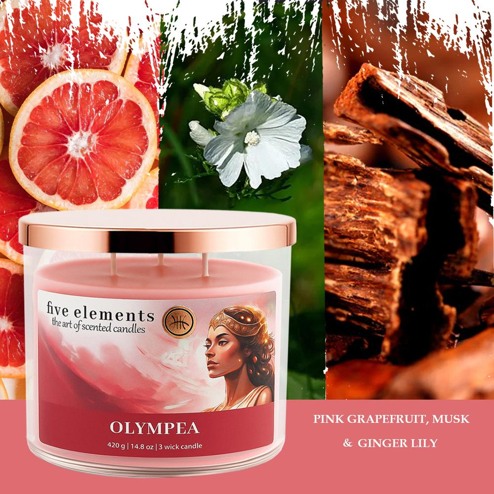 Kerze mit Grapefruit, Blüte und Holz. Duft: Grapefruit, Moschus & Ingwerlilie.
