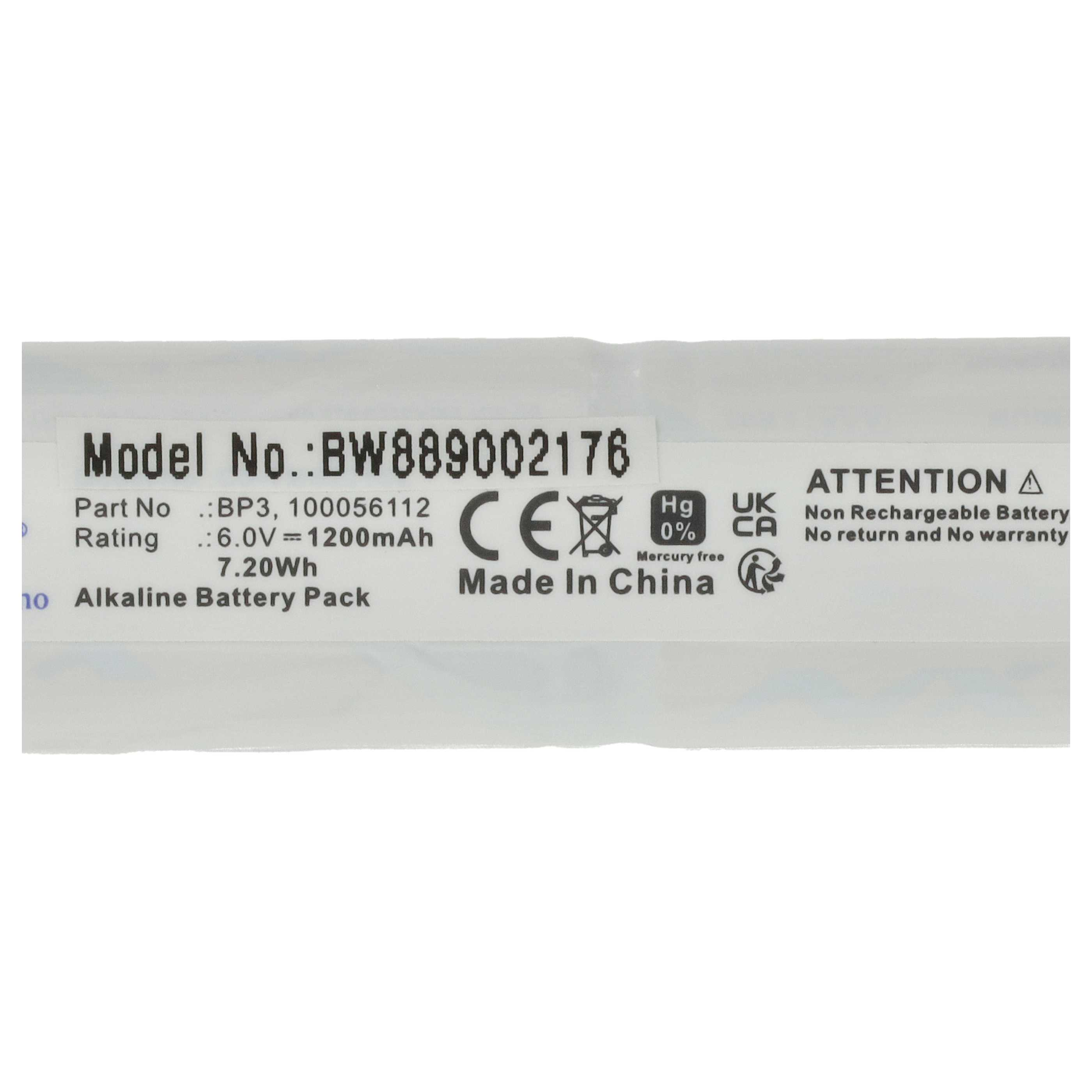 Modell BW889002176, 6.0V 1200mAh Alkaline Batteriepack, Made in China.