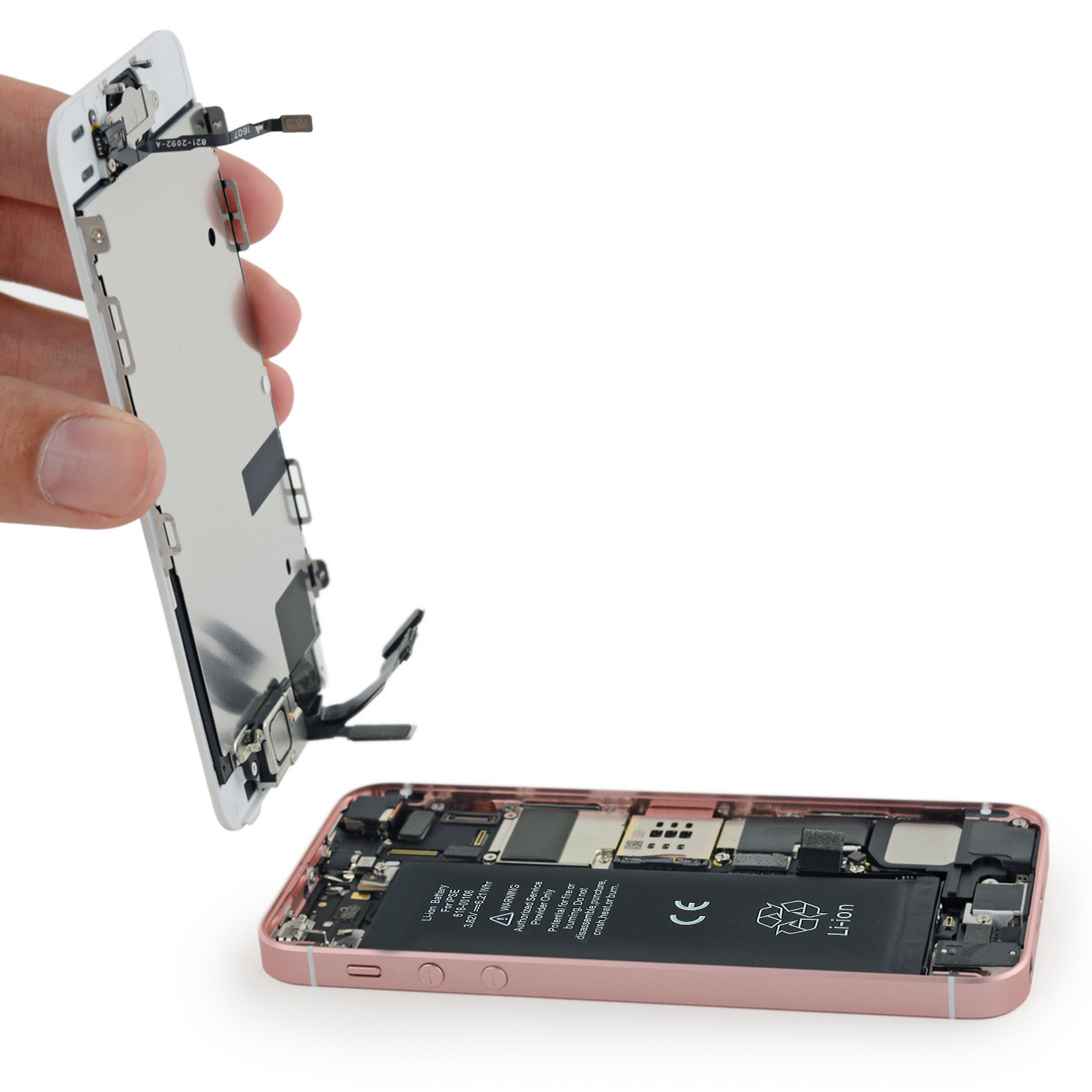 Uno schermo bianco di iPhone viene rimosso da un iPhone rosa aperto.