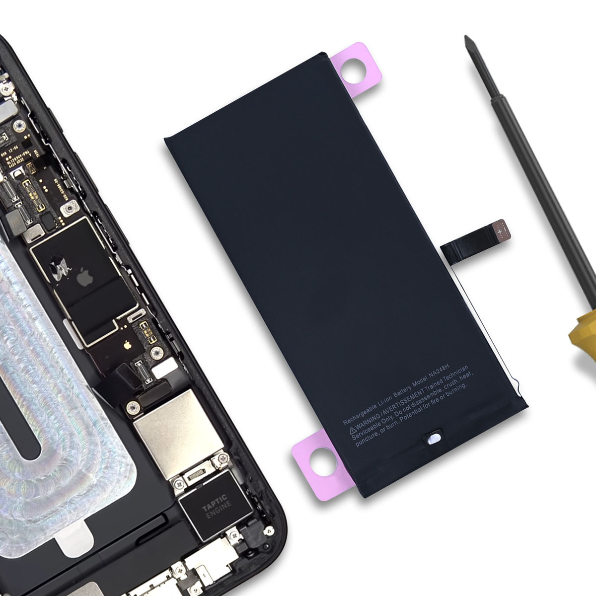 Interni iPhone con batteria e cacciavite. Taptic Engine visibile.