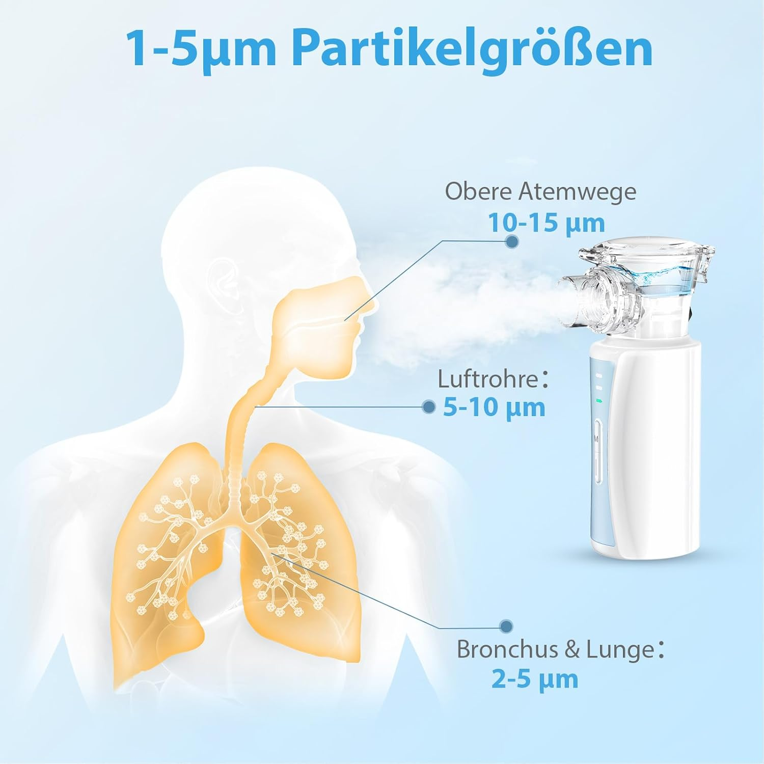 Schema der Atemwege mit Partikelgrößen für Inhalatoren.