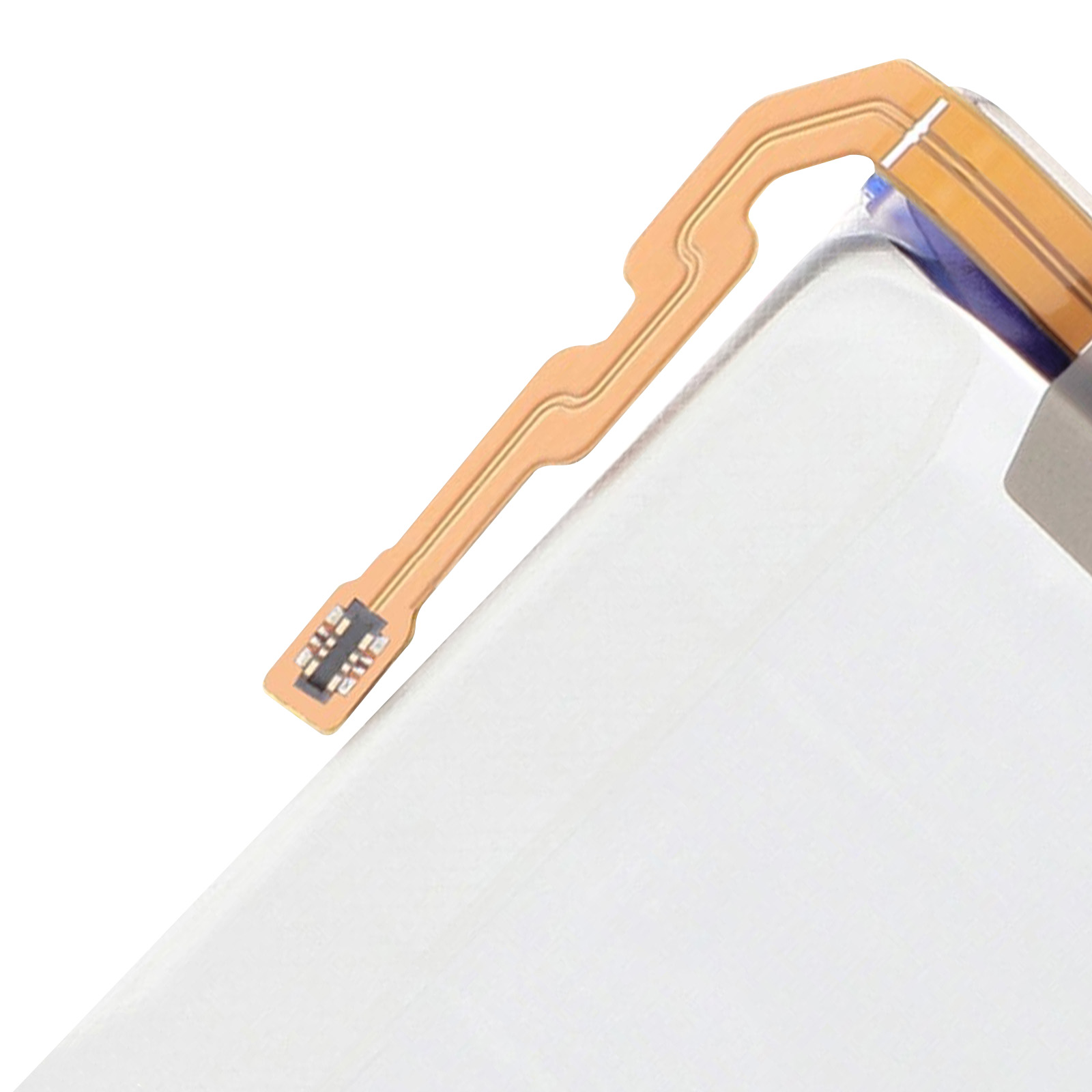 Un cavo sottile e flessibile con un connettore rettangolare e contatti.