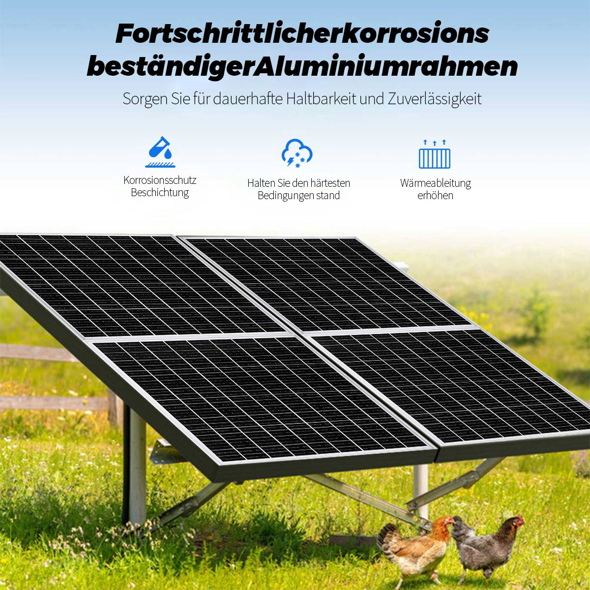 Solarmodule mit korrosionsbeständigem Aluminiumrahmen auf einer Wiese mit Hühnern.