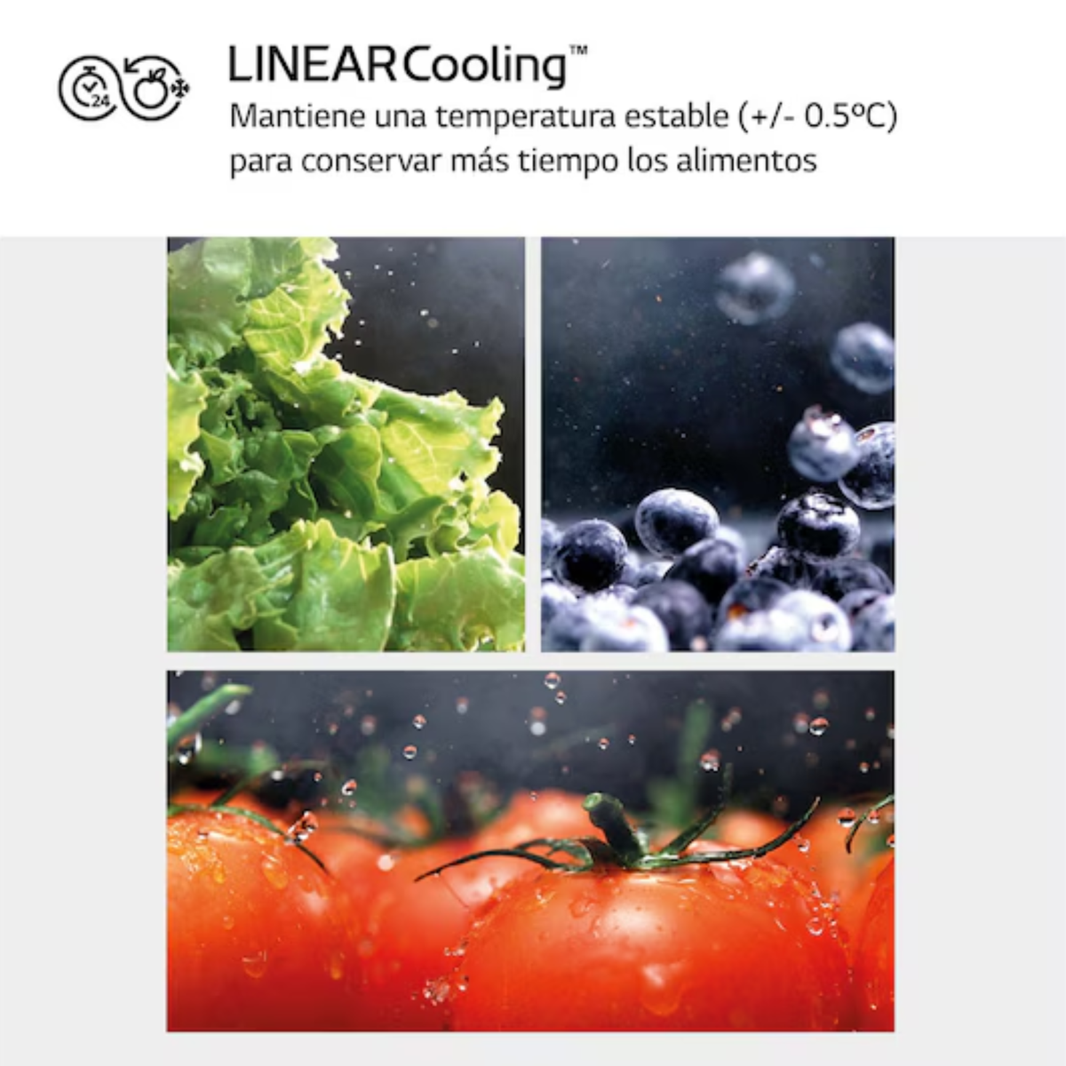 Lechuga, arándanos y tomates con gotas de agua bajo enfriamiento estable.