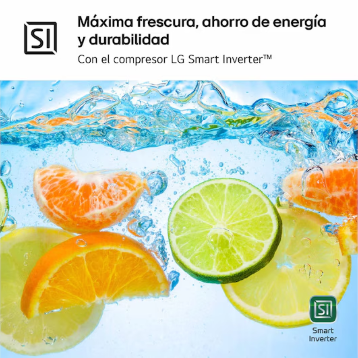 Plastry pomarańczy, limonki i mandarynki zanurzone w wodzie z bąbelkami.