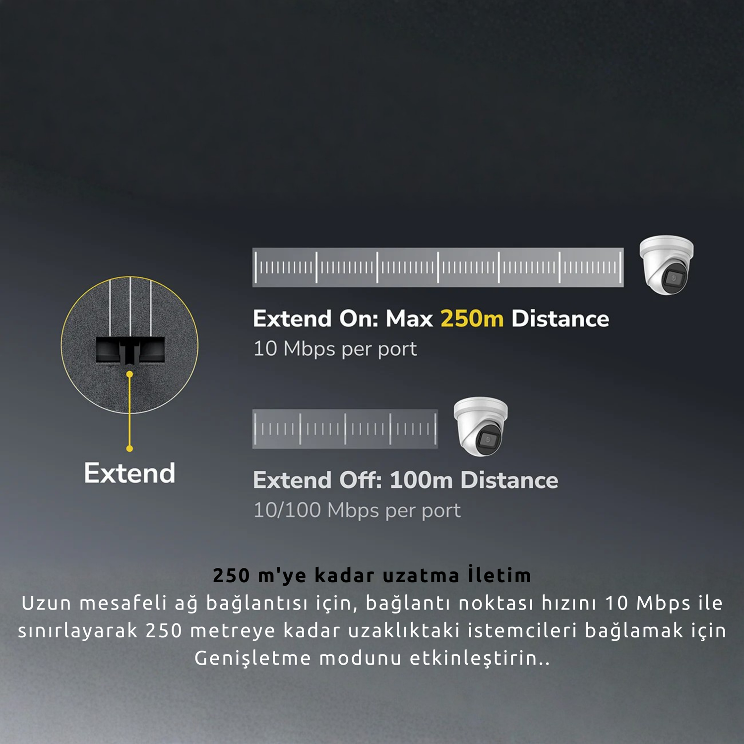 Estensione di rete: 250m di distanza a 10Mbps, 100m a 10/100Mbps.