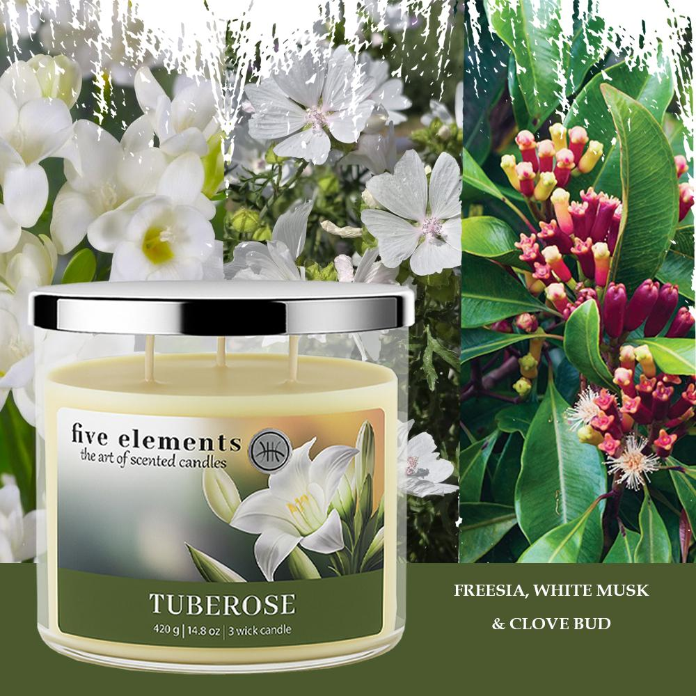 Kerze mit Tuberose-Duft und Abbildungen von Freesien und Gewürznelkenknospen.