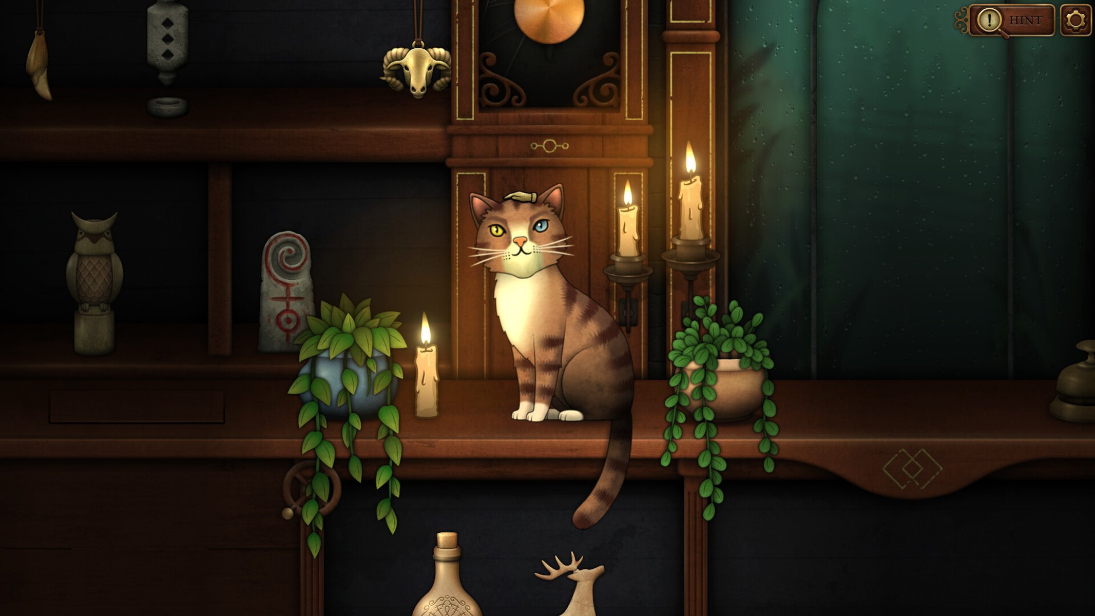 Un gatto soriano con eterocromia siede su uno scaffale con candele e piante. Orologio ornato.