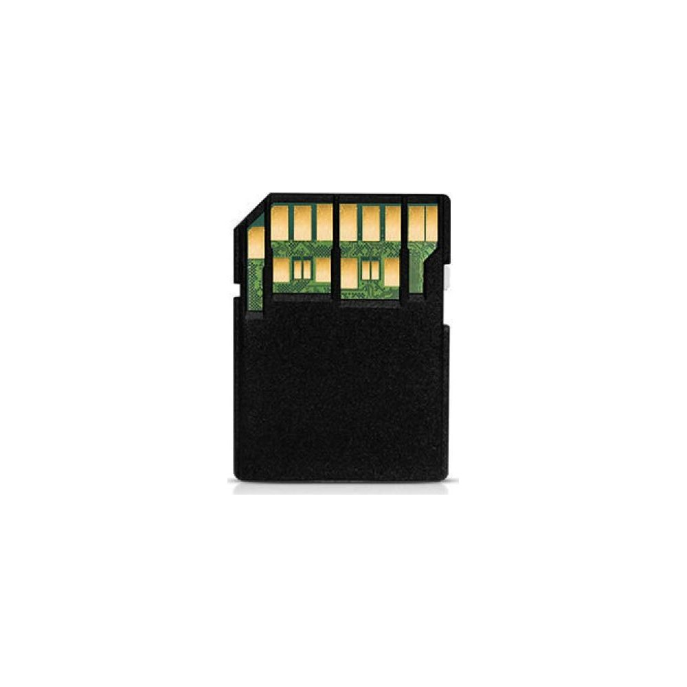 Carte SD noire avec contacts dorés et circuit imprimé vert.