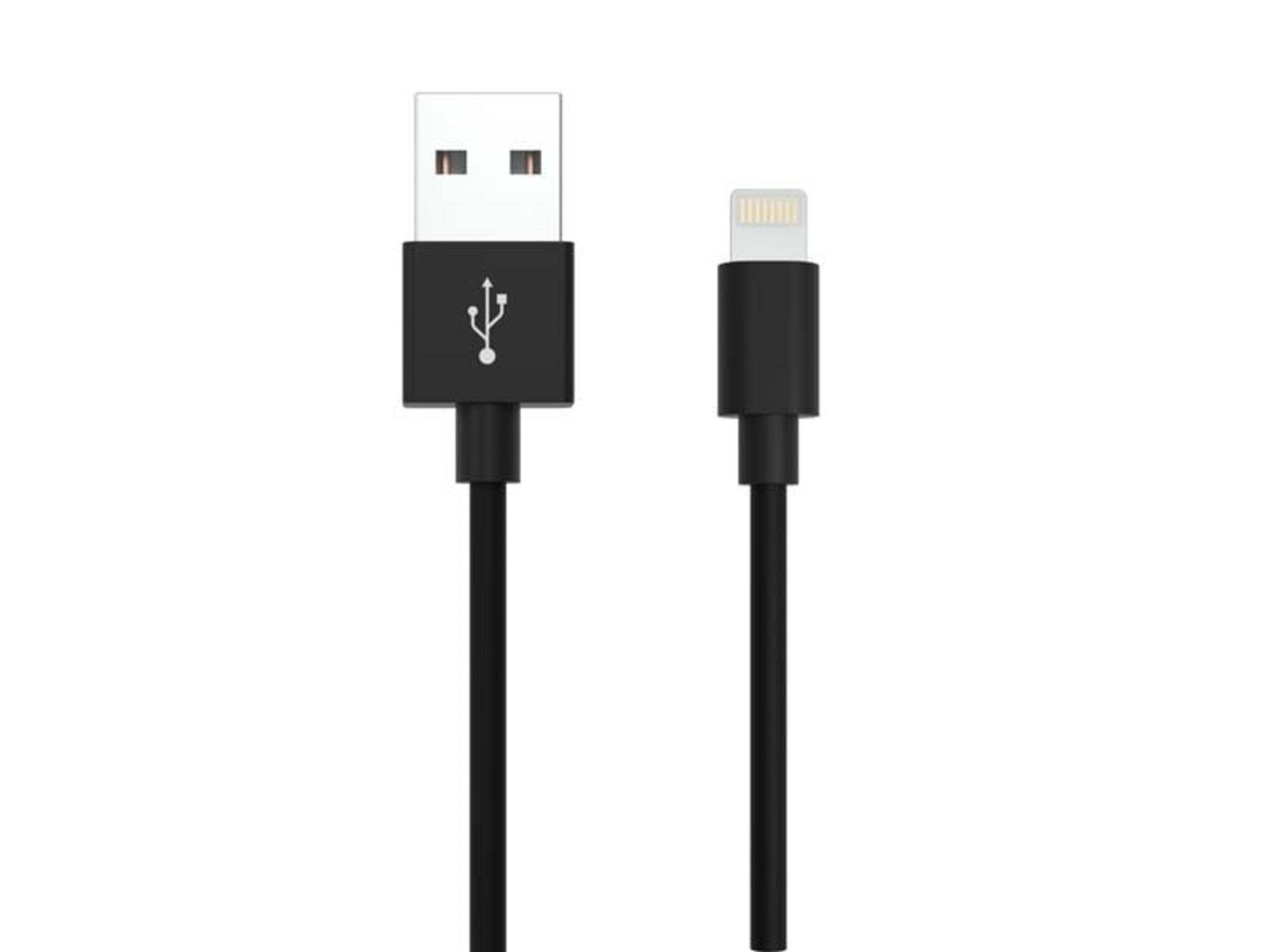 Ein schwarzes USB-Kabel mit Lightning- und USB-A-Steckern auf weißem Hintergrund.