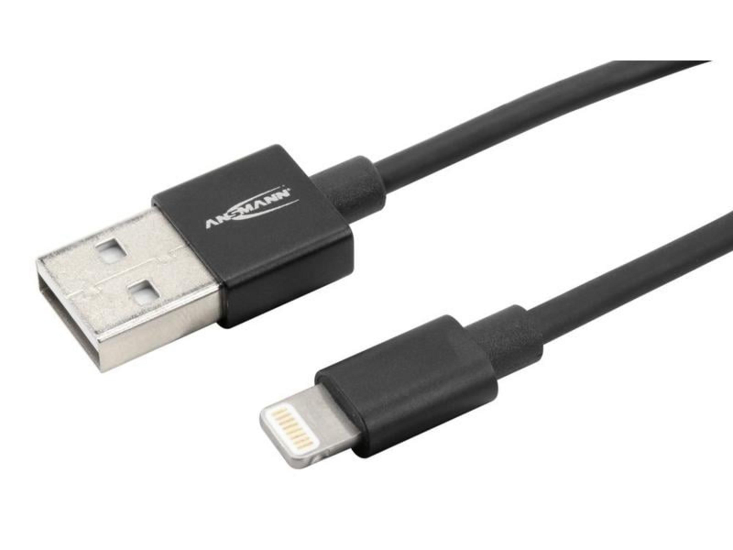 Ein schwarzes USB-zu-Lightning-Kabel mit Metallsteckern.