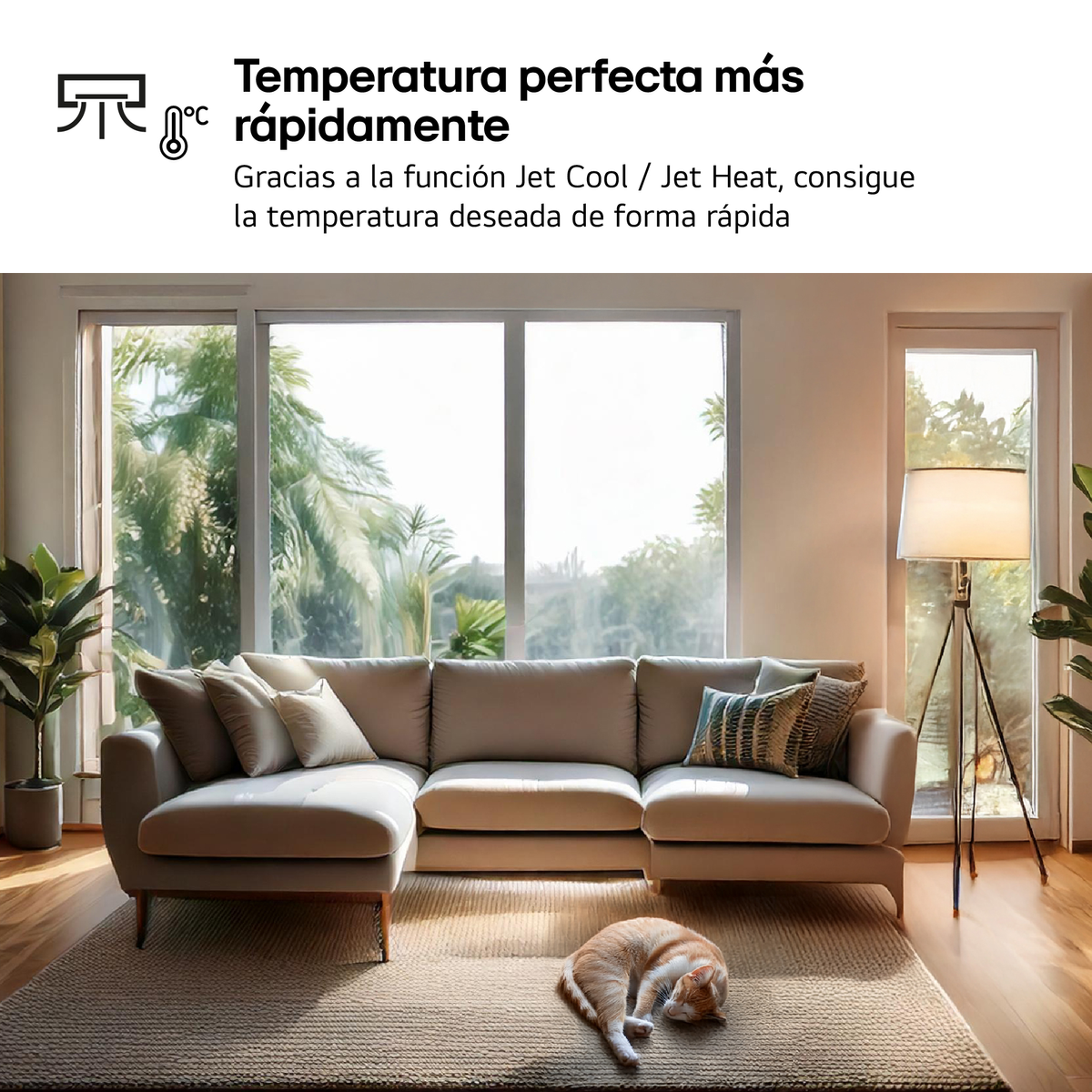 Una sala de estar con sofá, alfombra, gato y ventana.