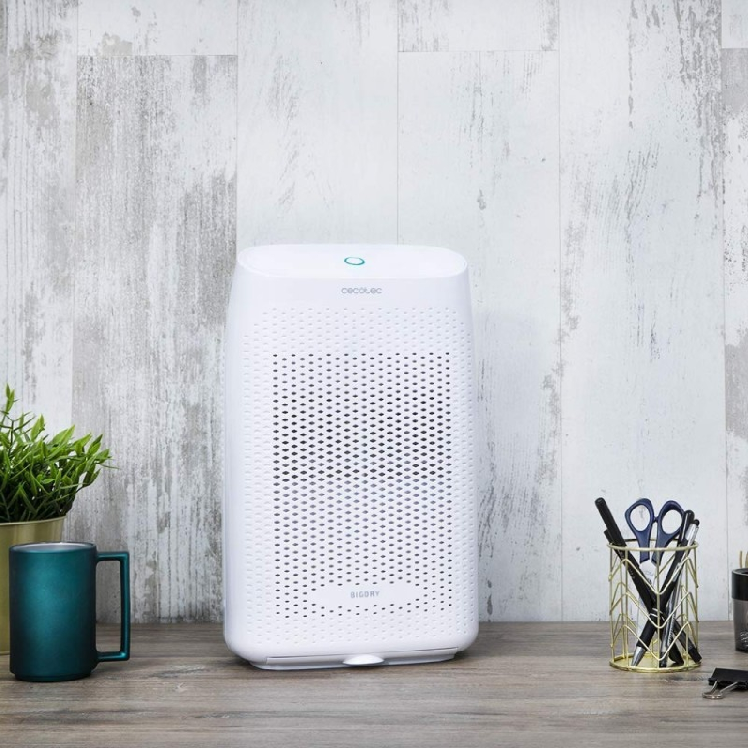 Biały osuszacz Cecotec stoi na drewnianym biurku z zielonym kubkiem i rośliną.
