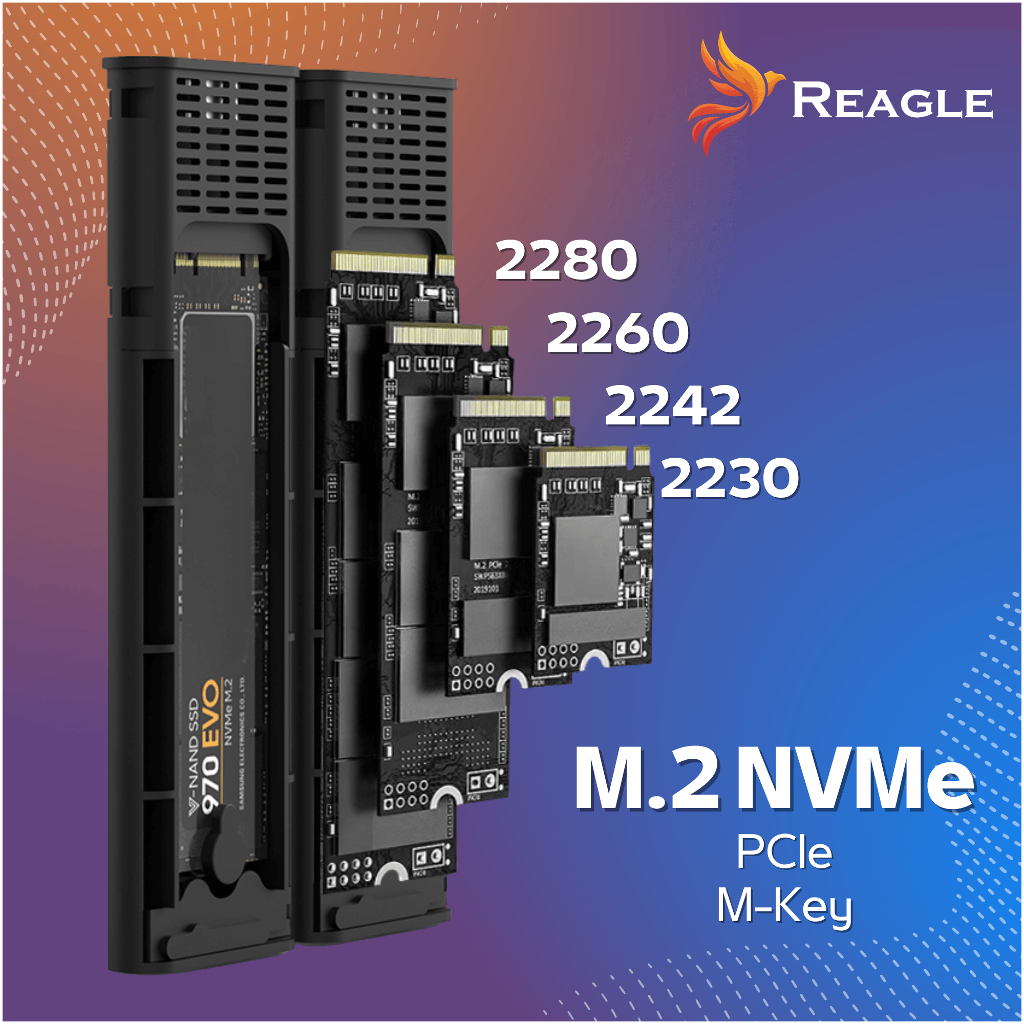 Czarne etui na dysk M.2 NVMe SSD z dyskami o różnych rozmiarach. Logo Reagle.