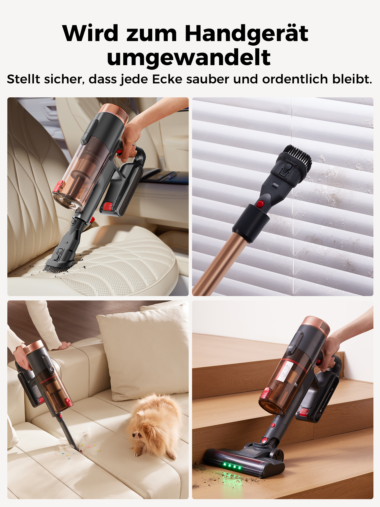 Handstaubsauger reinigt Auto, Jalousien, Sofa mit Hund, Treppe.