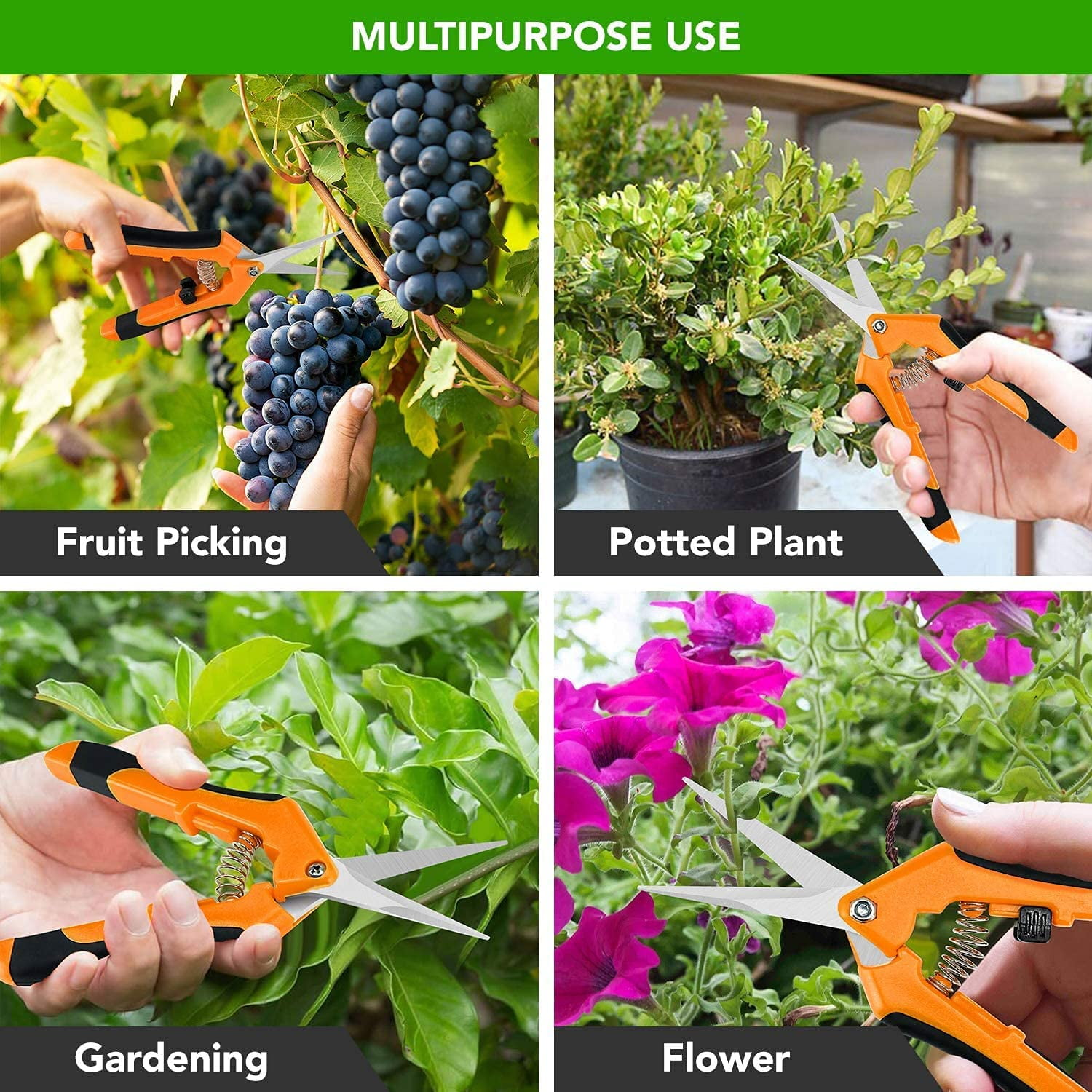 Vier Szenen: Weinernte, Topfpflanze, Gartenarbeit und Blumen. Alle zeigen eine Hand mit orangefarbener Gartenschere.