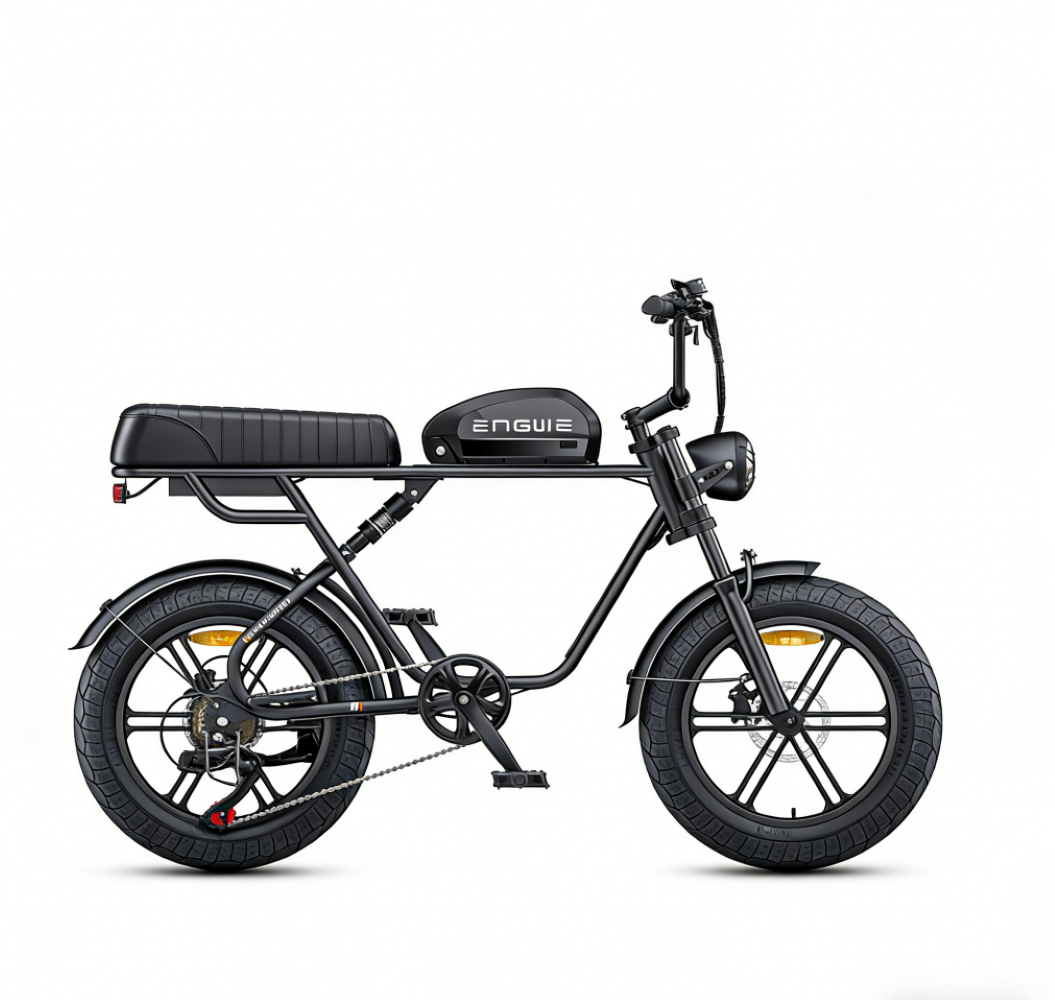 Ein schwarzes E-Bike mit breiten Reifen und einem langen Sitz, steht auf weißem Grund.