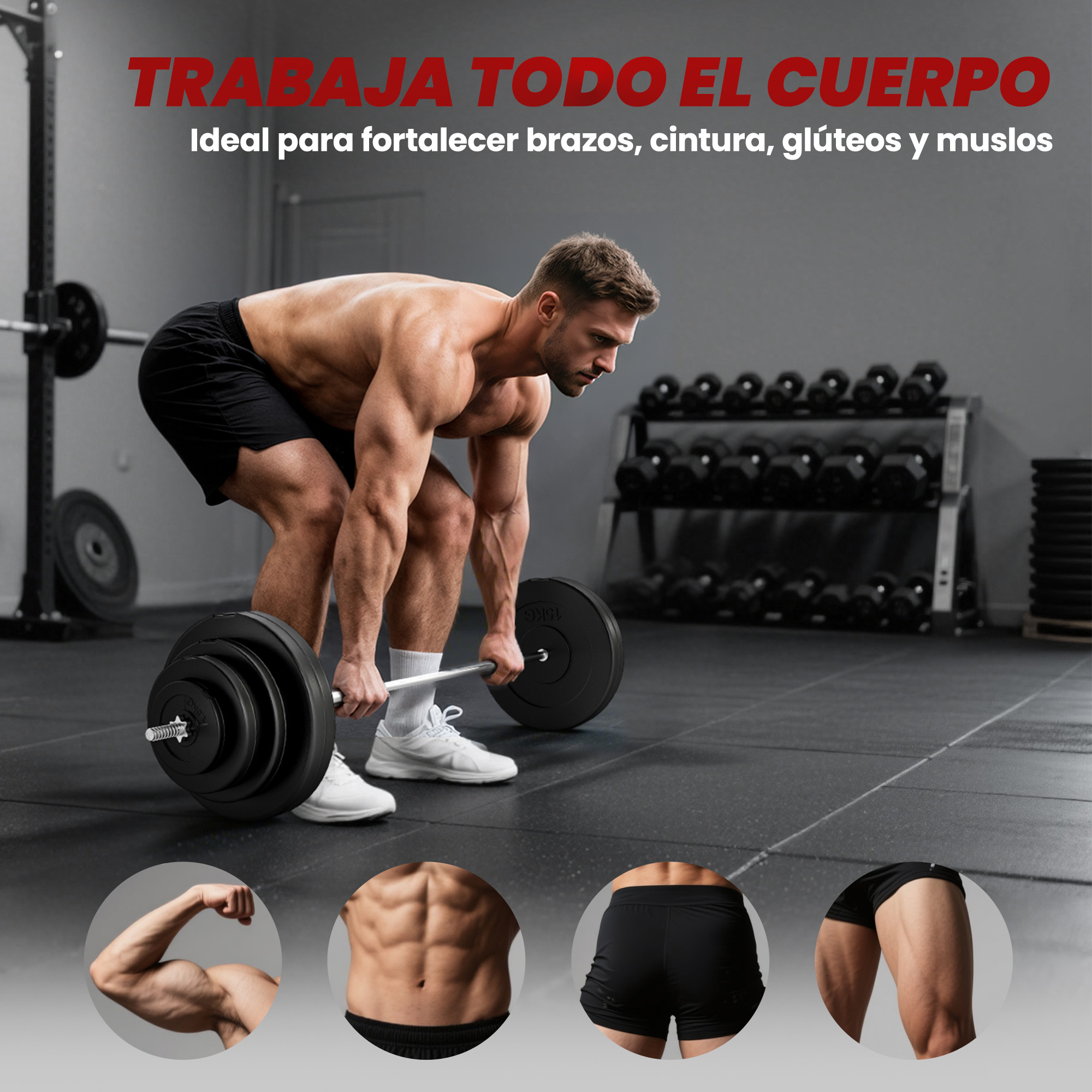Hombre levanta barra en gimnasio; círculos: bíceps, abdomen, glúteos, muslos.