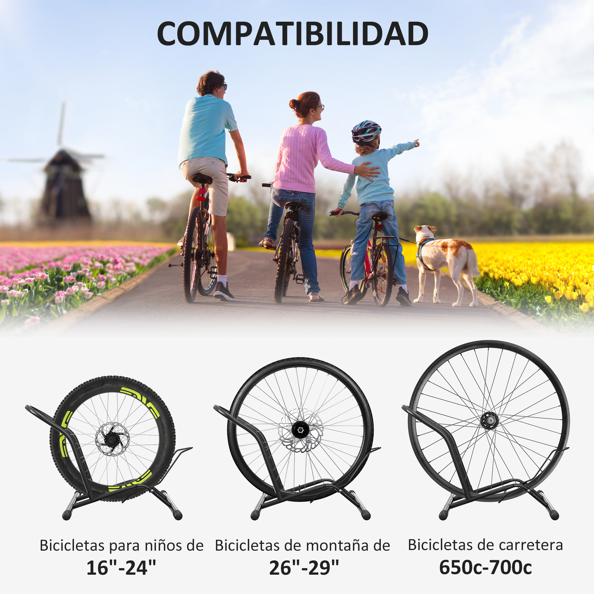 Familia en bicicleta por campos de tulipanes con molino. Tres soportes para bicicletas abajo.