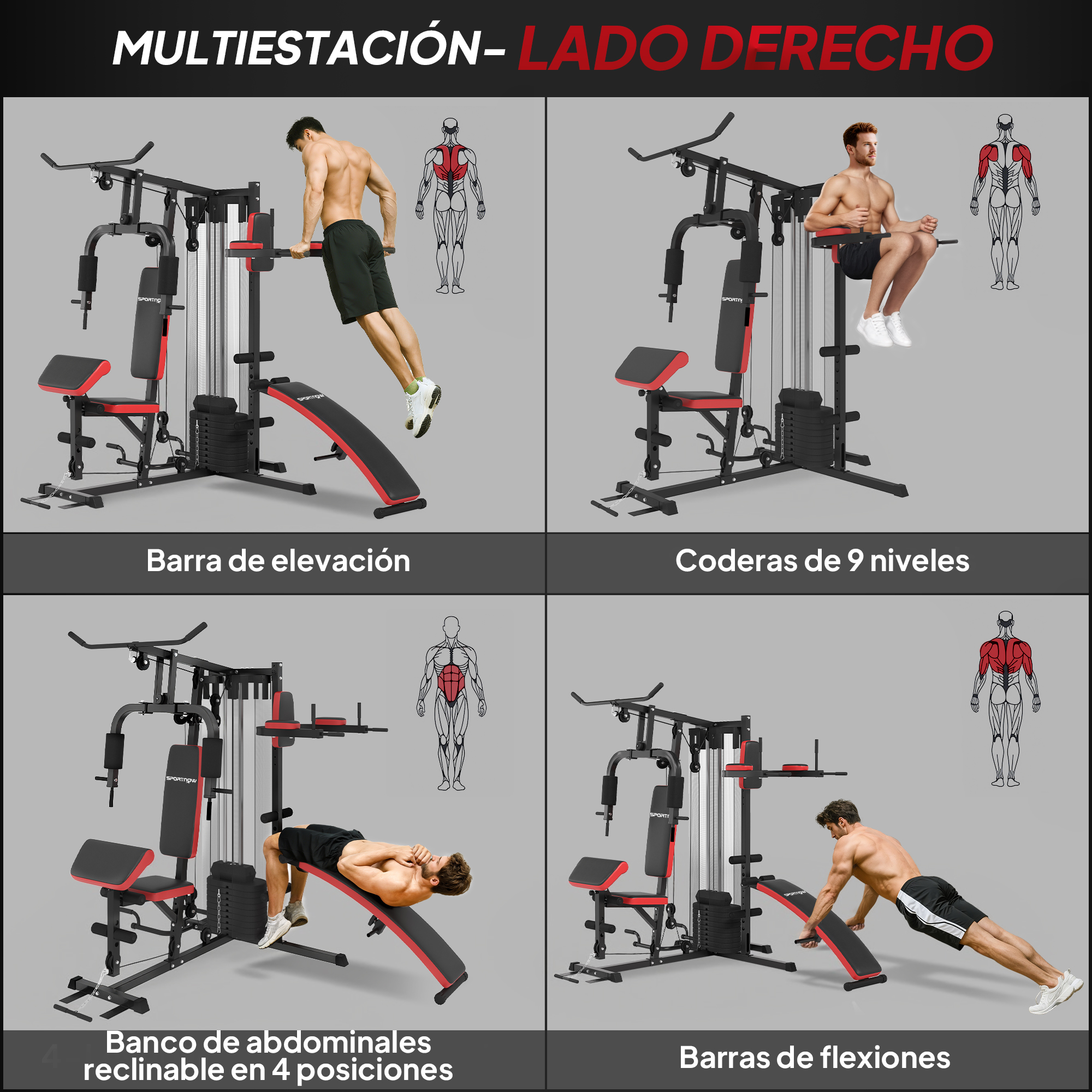 Equipo de gimnasio: dominadas, fondos, banco abdominales, flexiones.