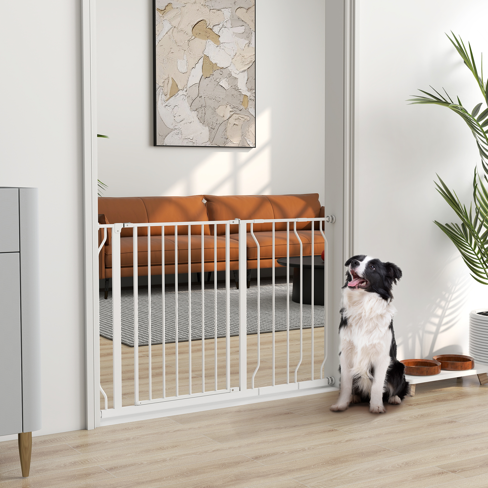 Un Border Collie se sienta ante una puerta blanca; un soporte para plantas con cuencos está al lado.
