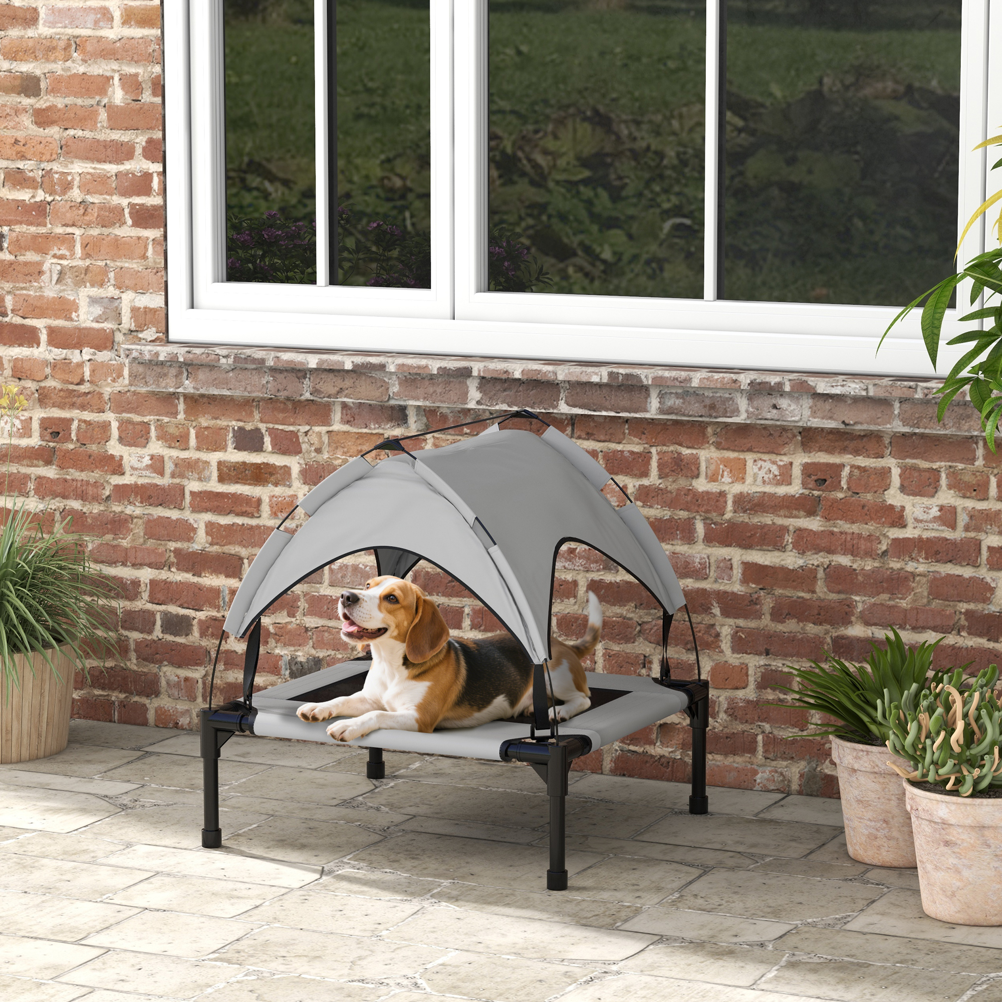 Un beagle yace en una cama elevada para perros con dosel gris.