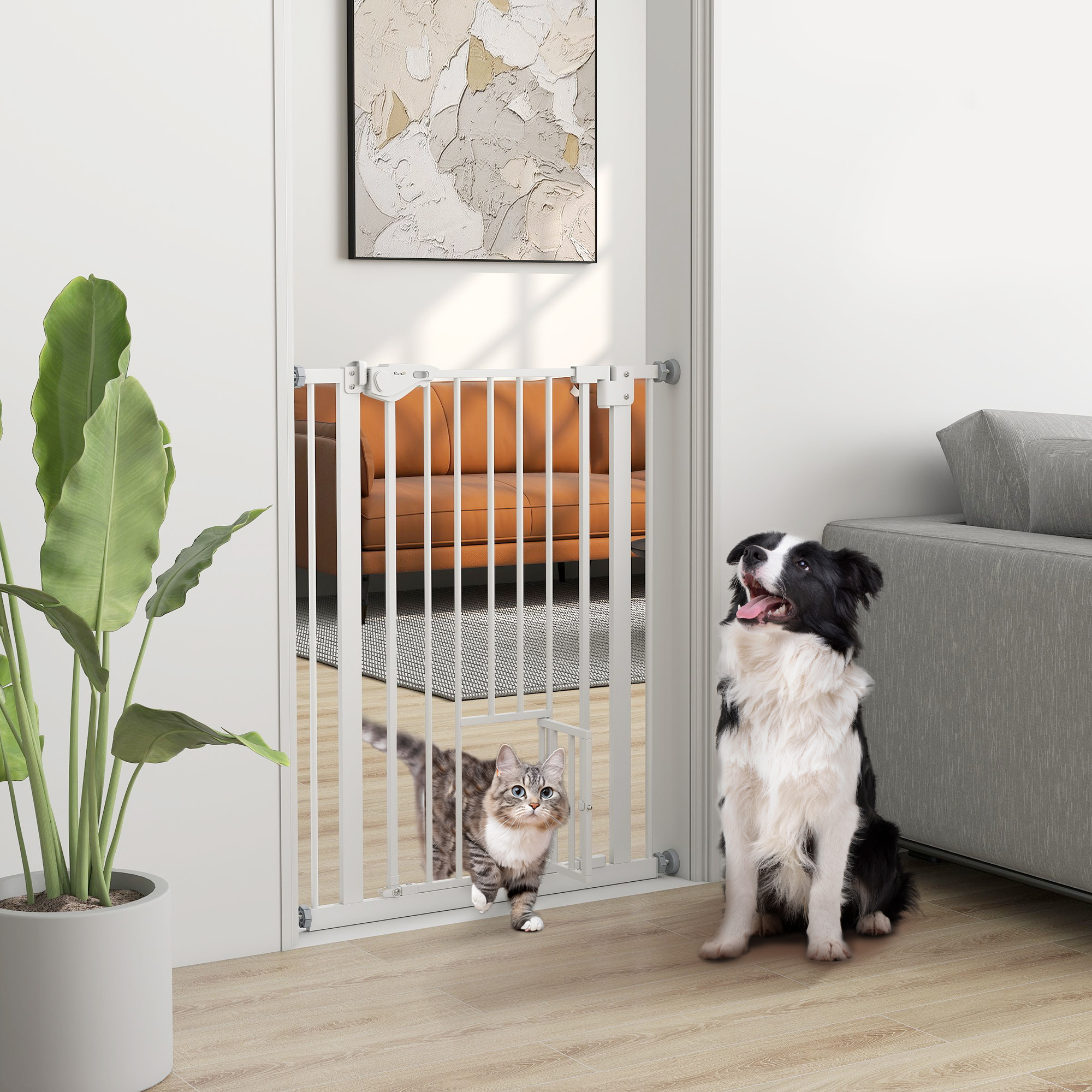 Un perro se sienta ante una puerta blanca, un gato pasa. Hay plantas a la izquierda.