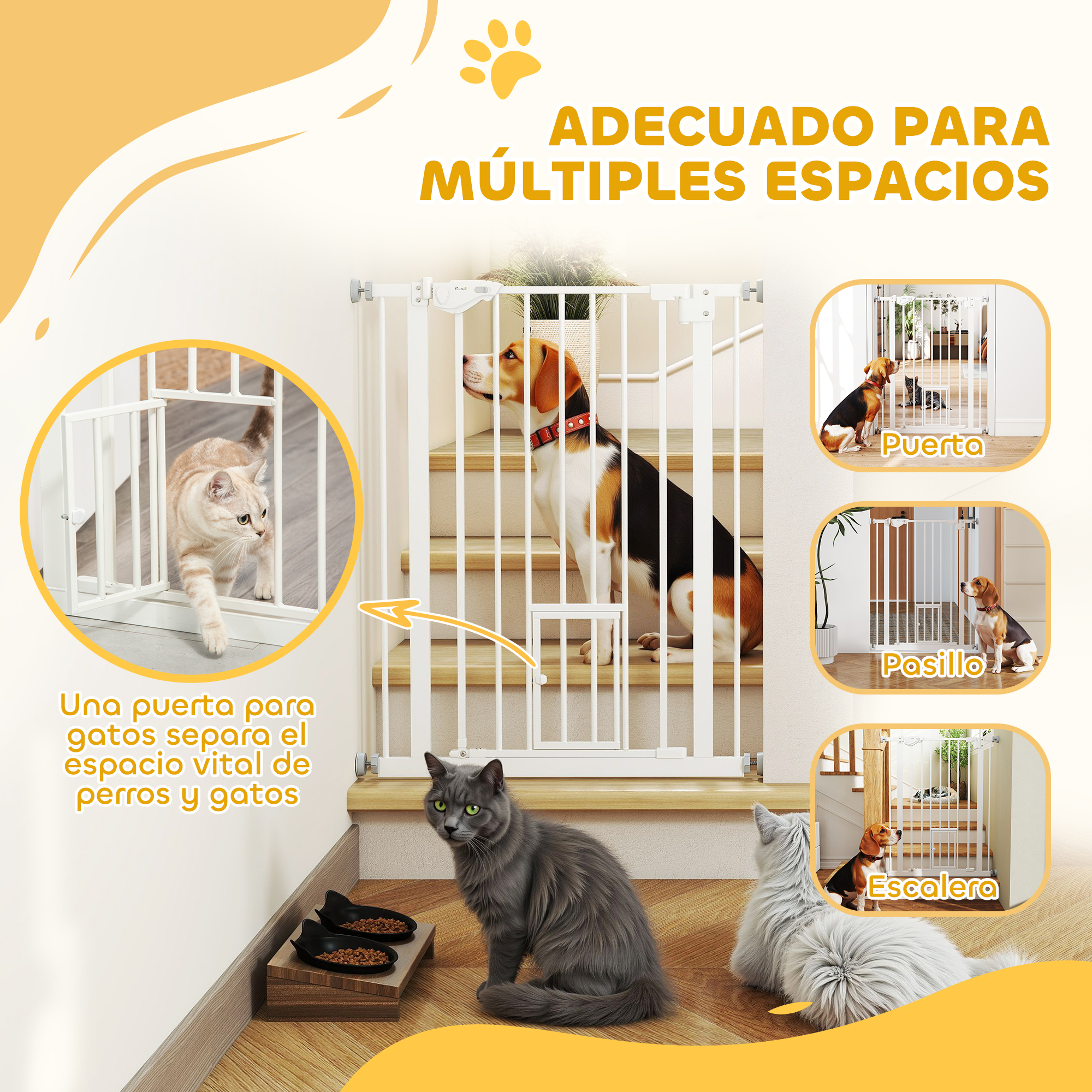 Un perro y dos gatos cerca de una puerta blanca para mascotas, separando diferentes áreas.