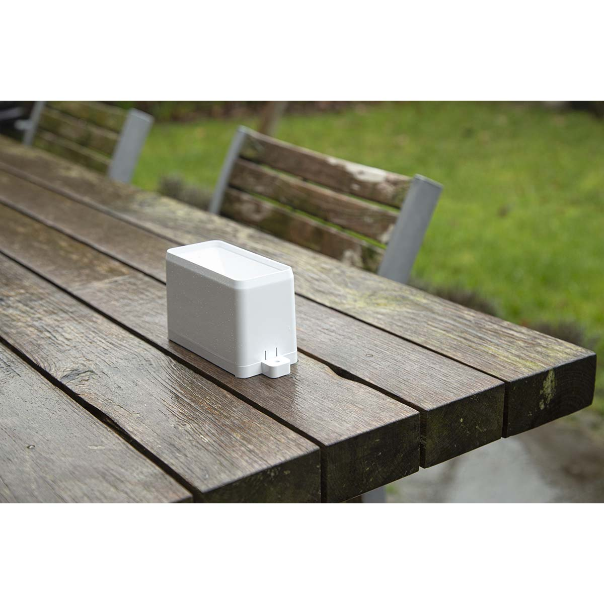 Biały pojemnik stoi na mokrym drewnianym stole na zewnątrz.