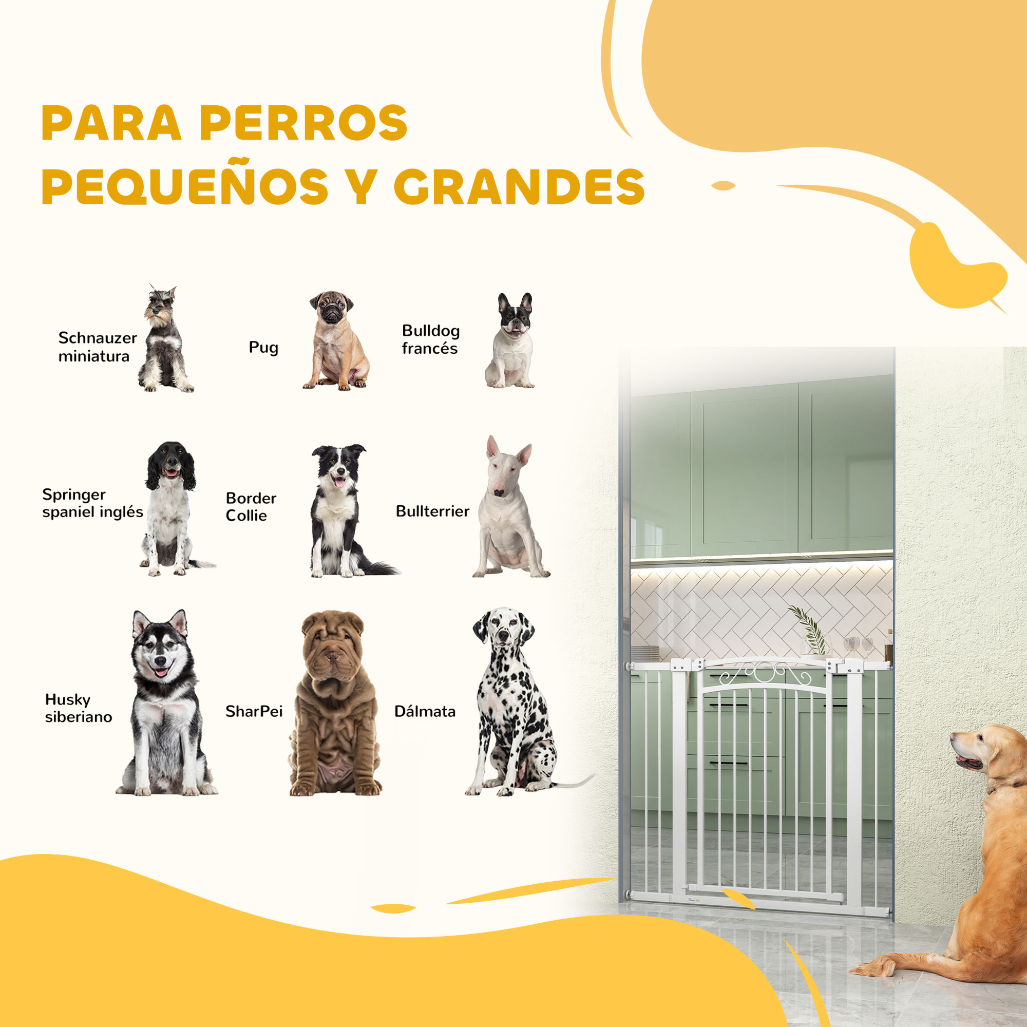 Se muestran varias razas de perros, incluyendo Schnauzer, Pug, Bulldog, Husky y Dálmata.