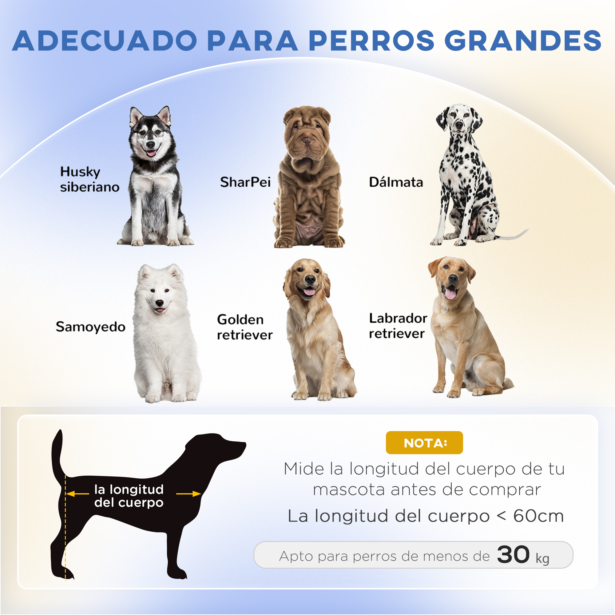 Seis razas de perros: Husky, Shar Pei, Dálmata, Samoyedo, Golden Retriever.