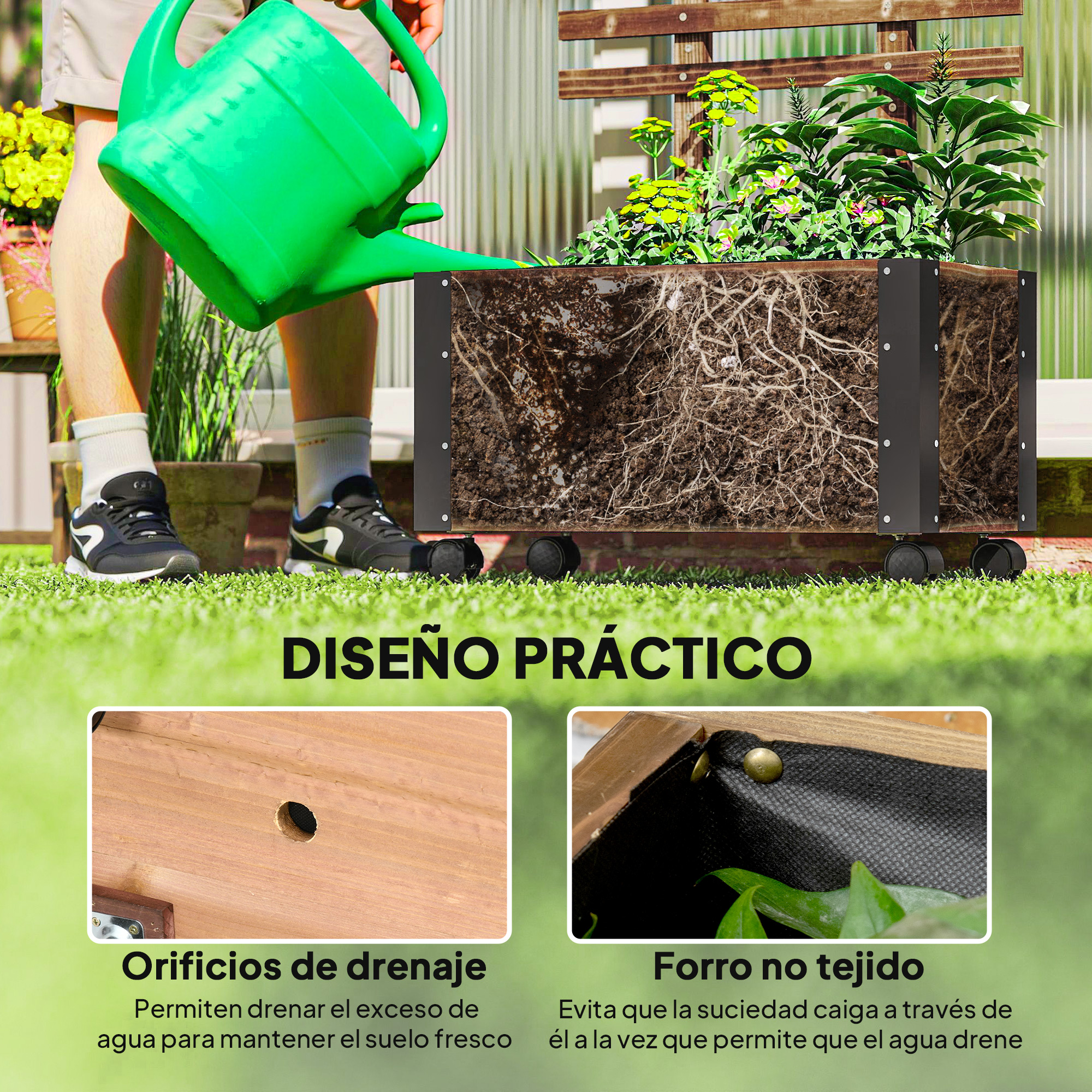 Una regadera verde riega plantas en un bancal elevado transparente con raíces visibles.