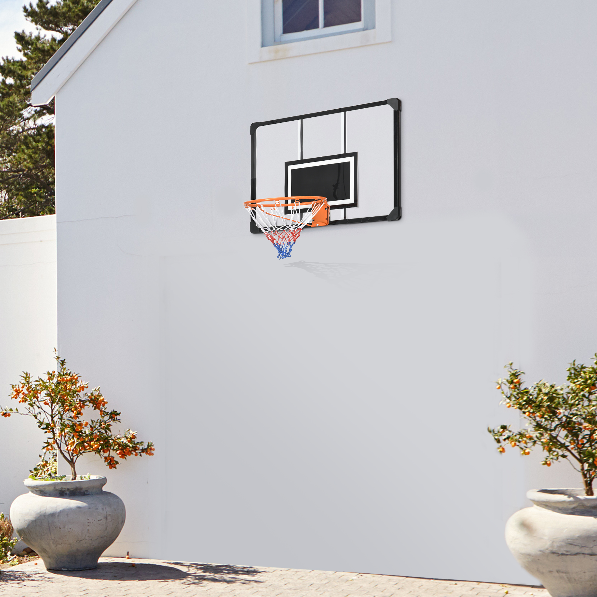 Un aro de baloncesto en una pared blanca con dos plantas en maceta delante.