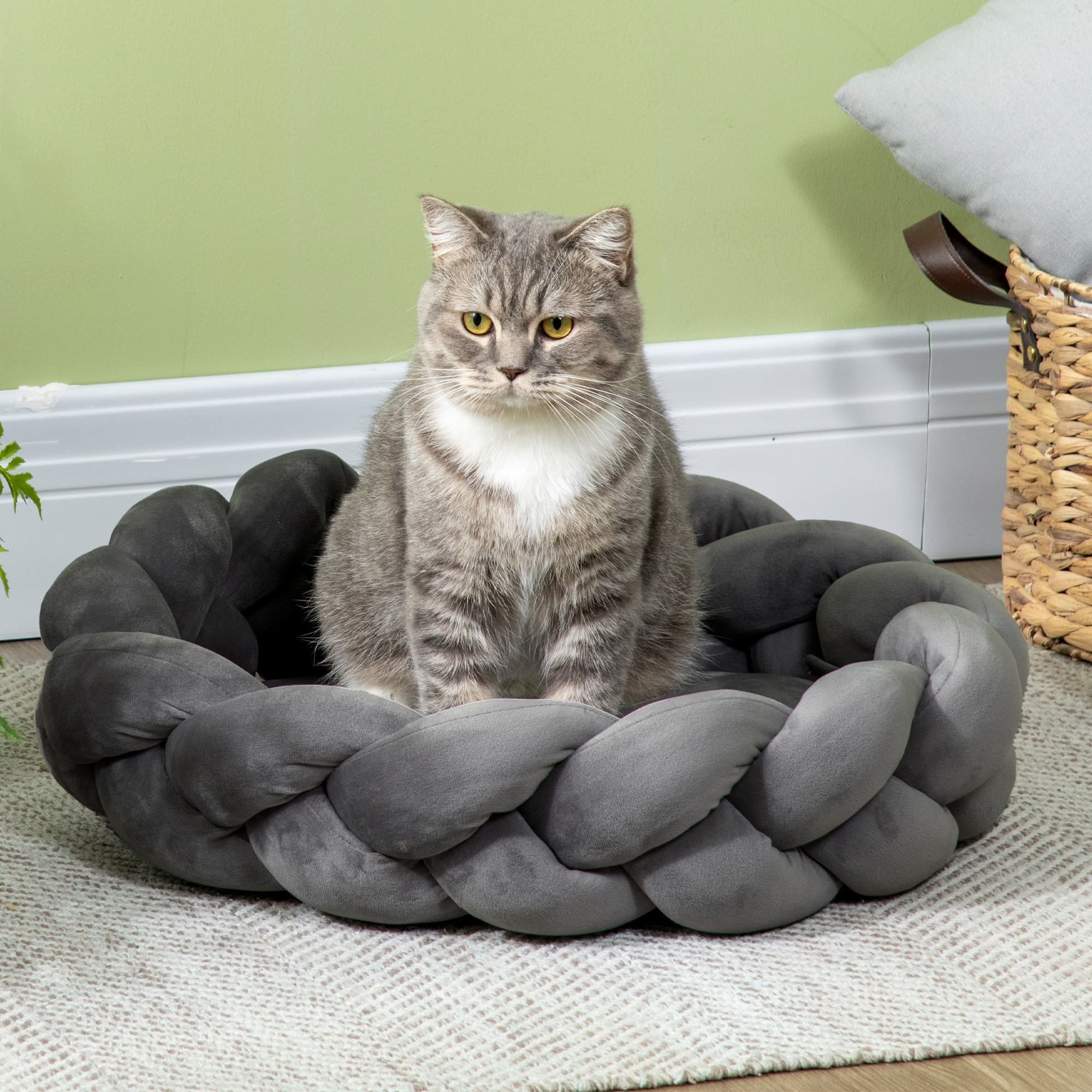 Un gato atigrado gris se sienta en una cama trenzada gris sobre una alfombra estampada.