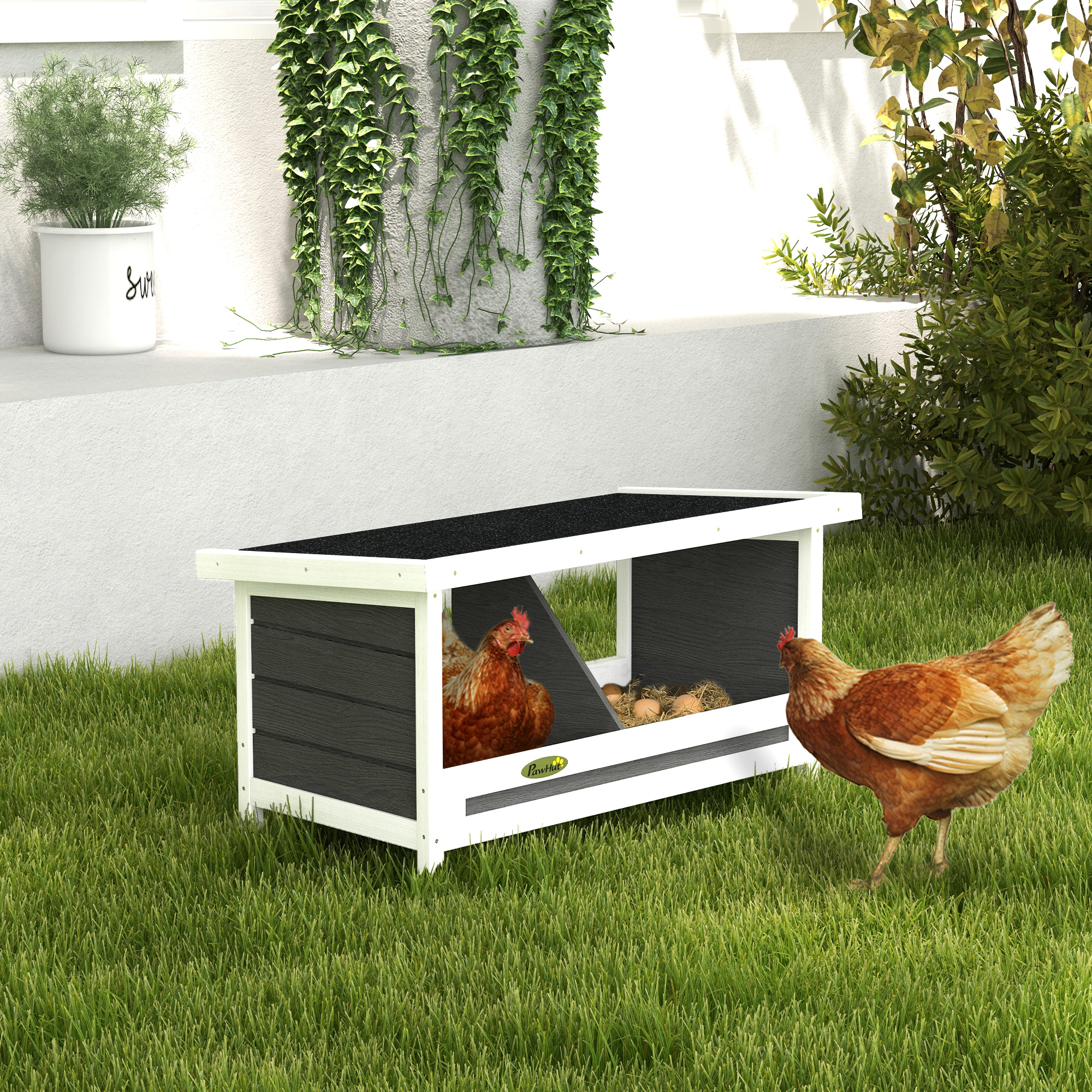 Dos gallinas en el césped frente a un gallinero con huevos. Una casa con plantas.