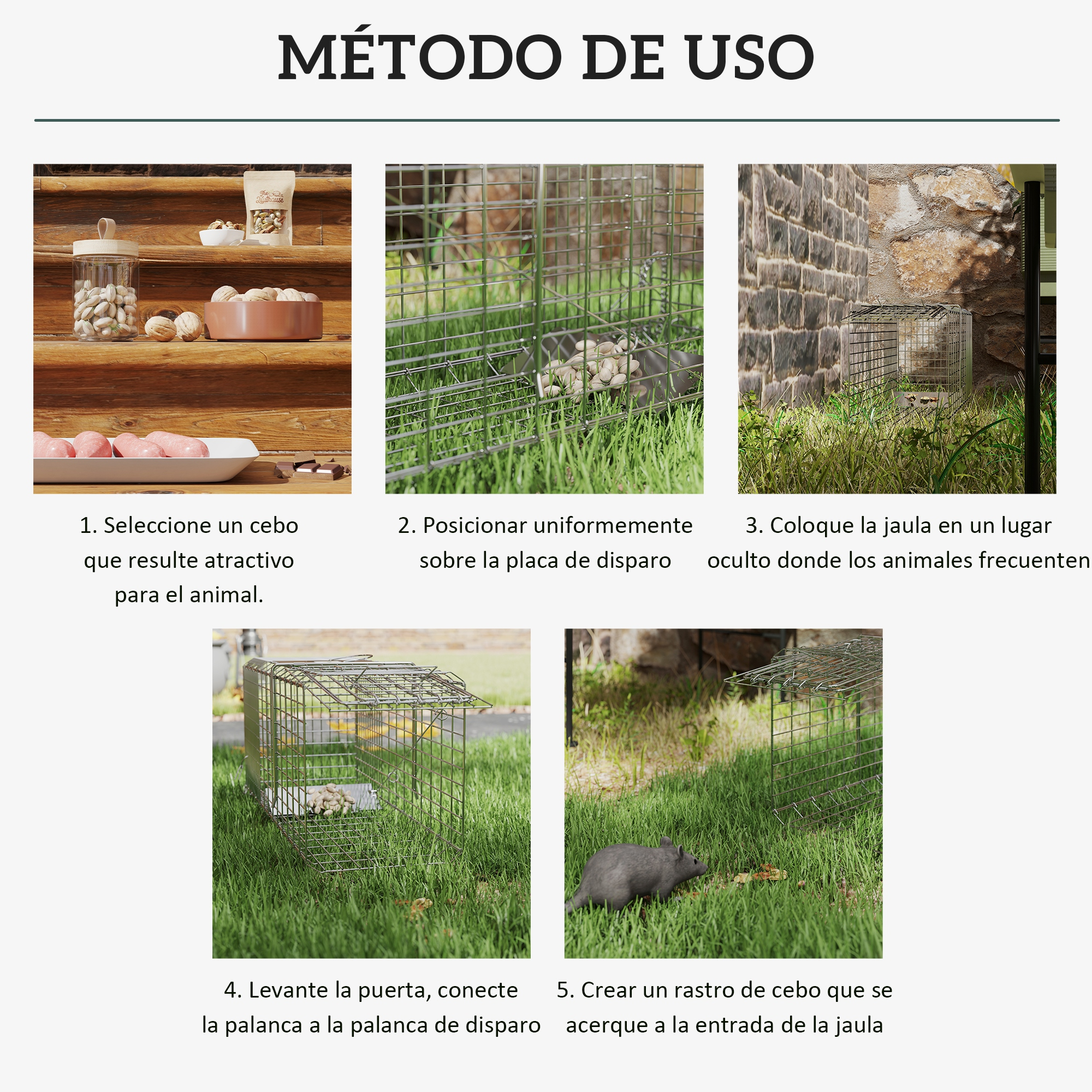 Guía paso a paso para colocar trampas para el control de plagas.