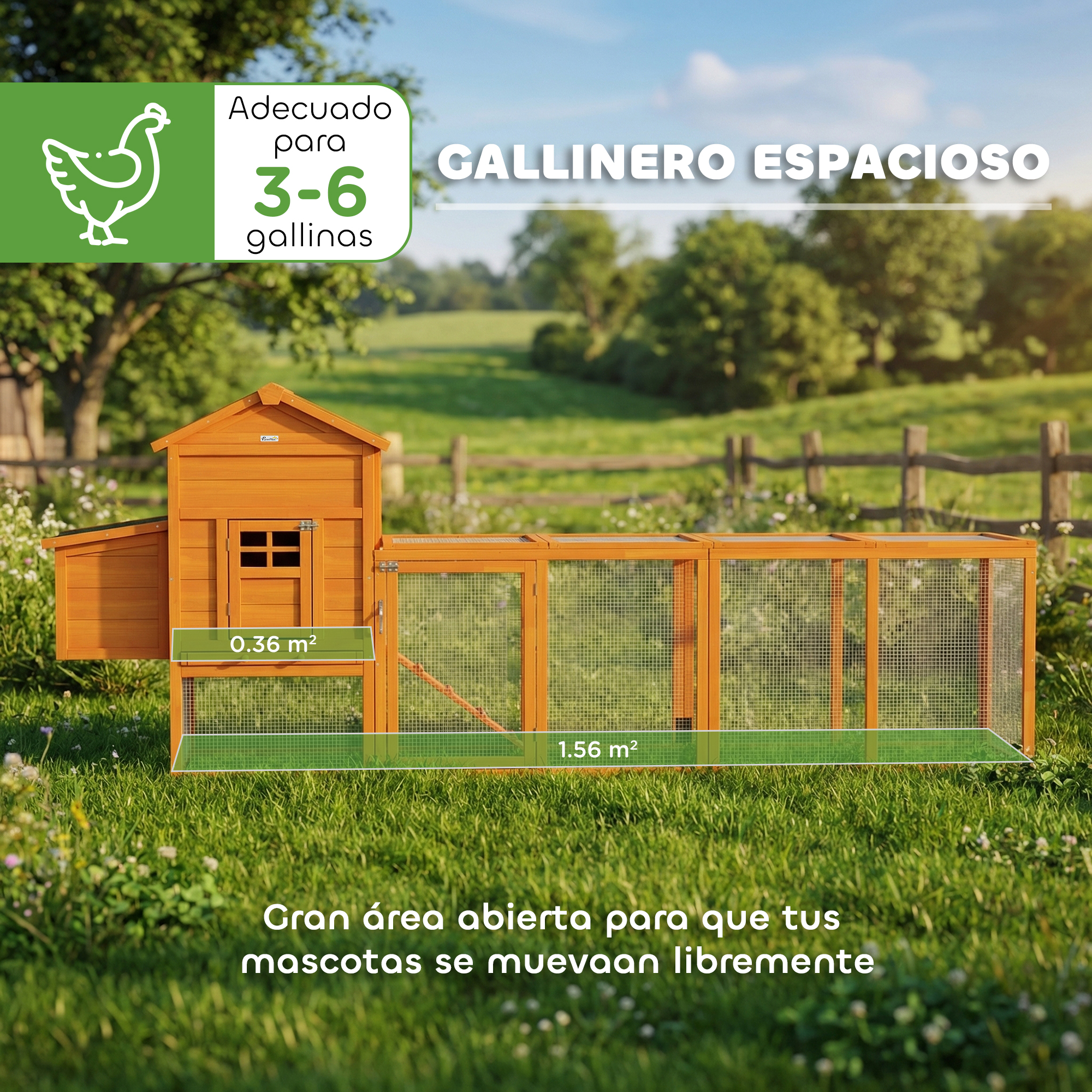 Un espacioso gallinero de madera con corral exterior, apto para 3-6 gallinas.